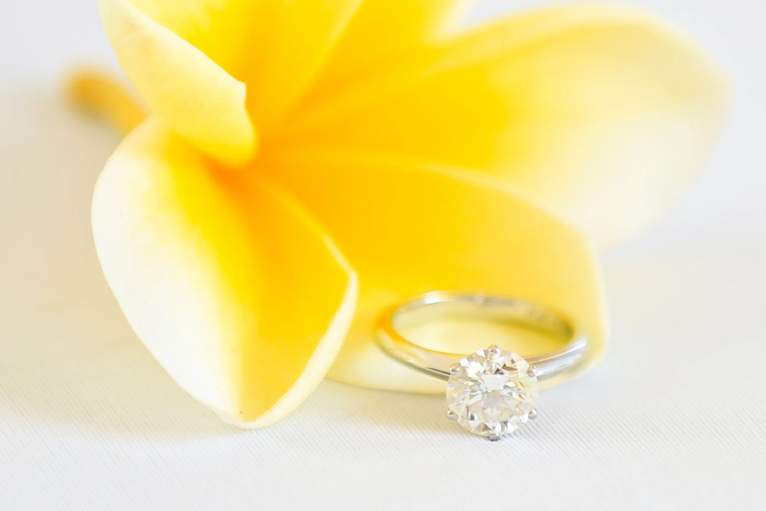 Kirsty+Micheal_LowRes002.JPG