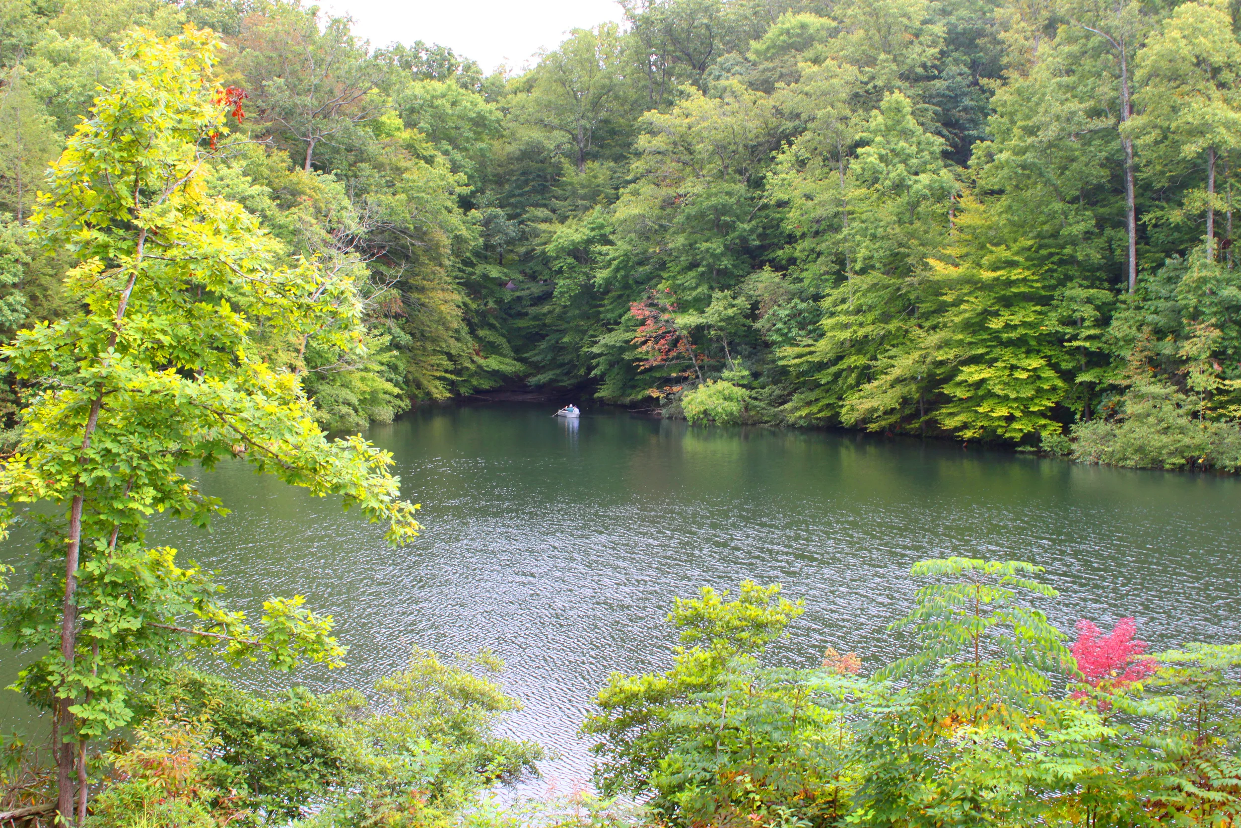 Laurellakebreaks.jpg