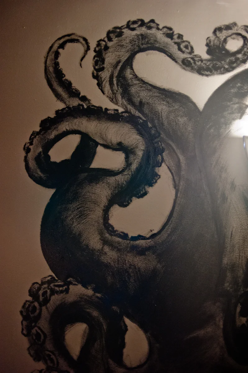 Haeckel Octopus