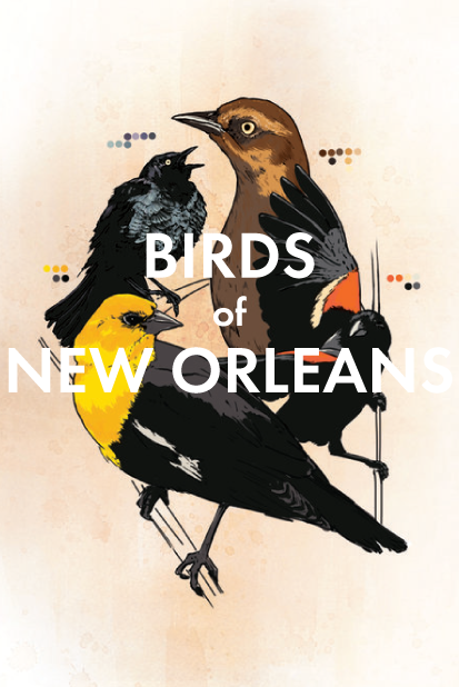 Birds of New Orleans