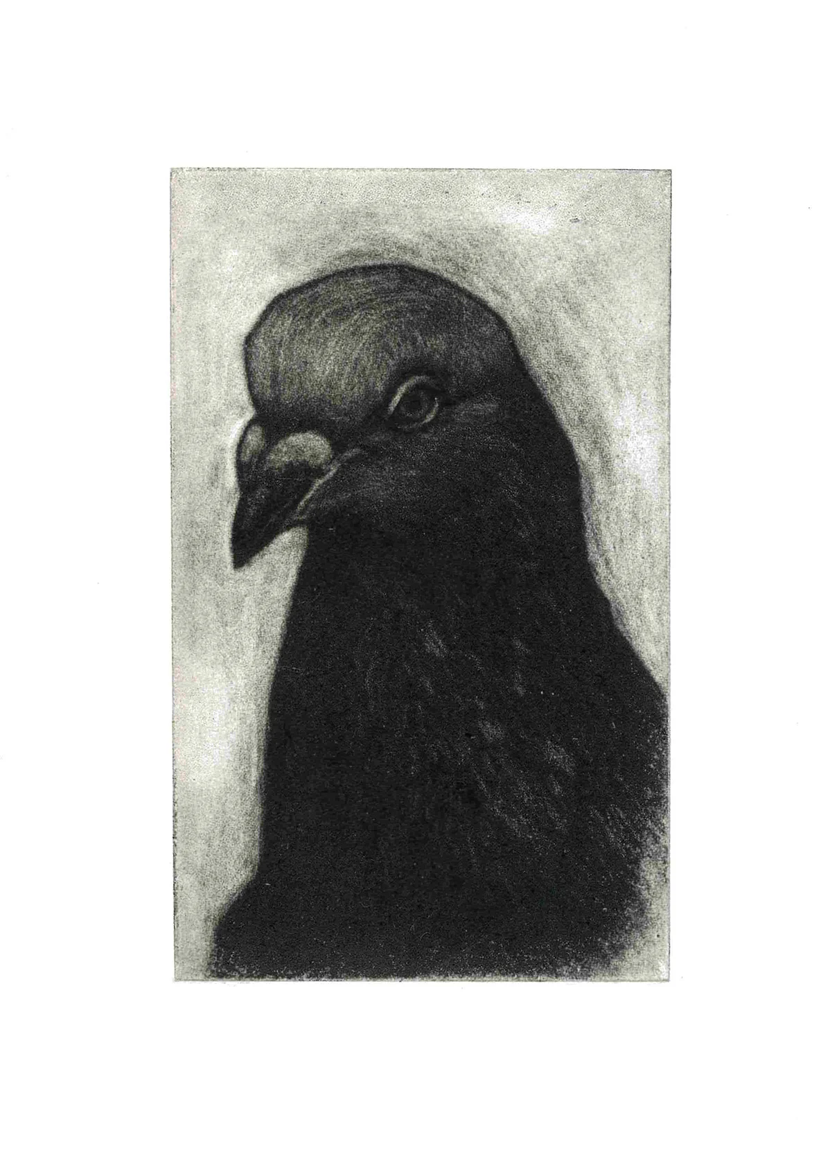 Dallas (mezzotint)