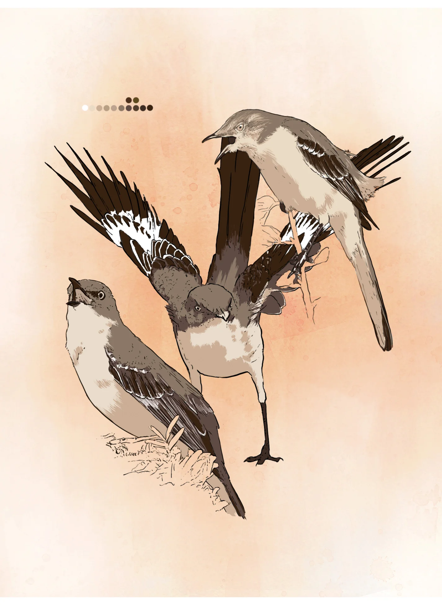 Mockingbird (digital)