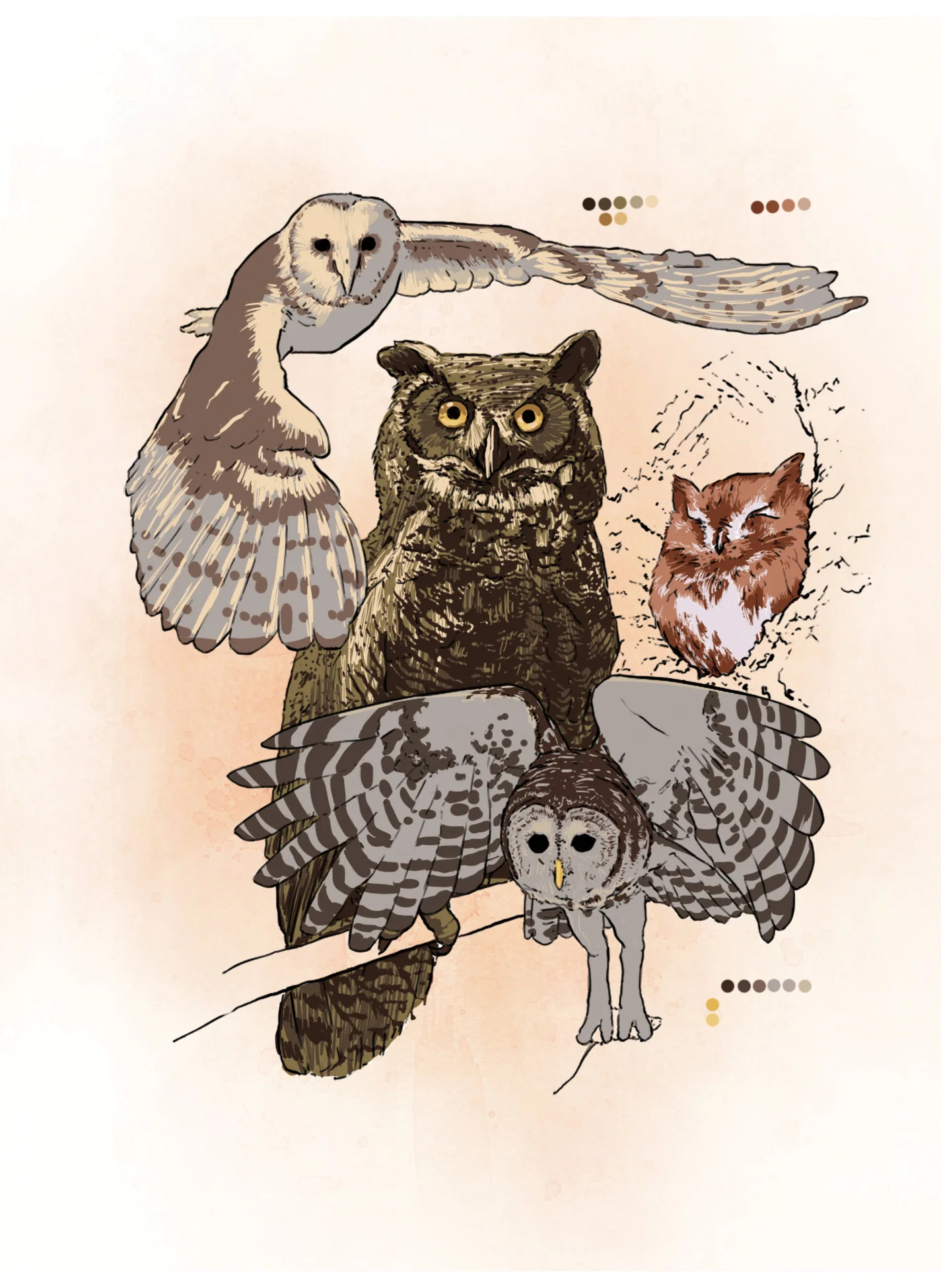 Owl (digital)