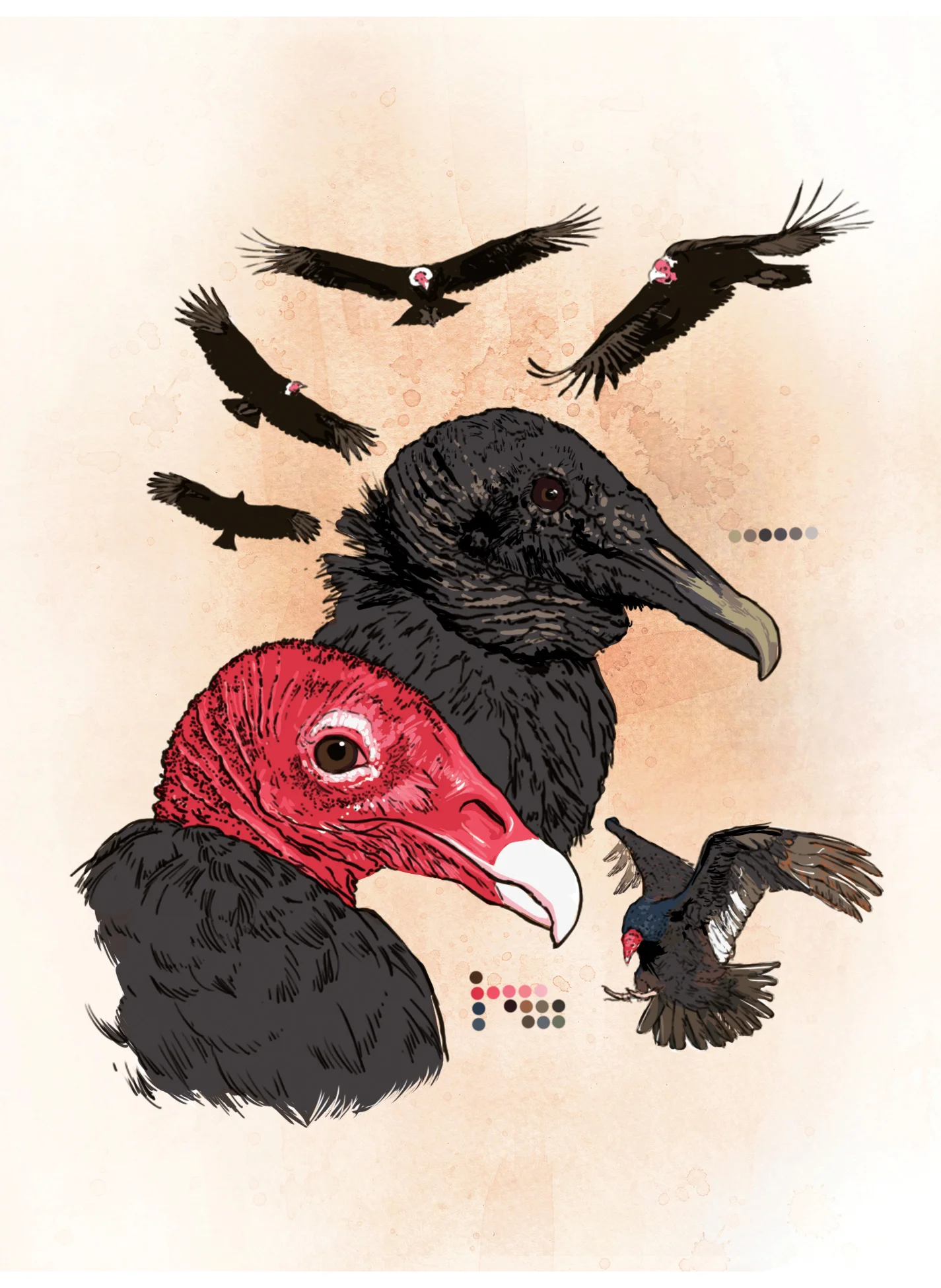 Vulture (digital)