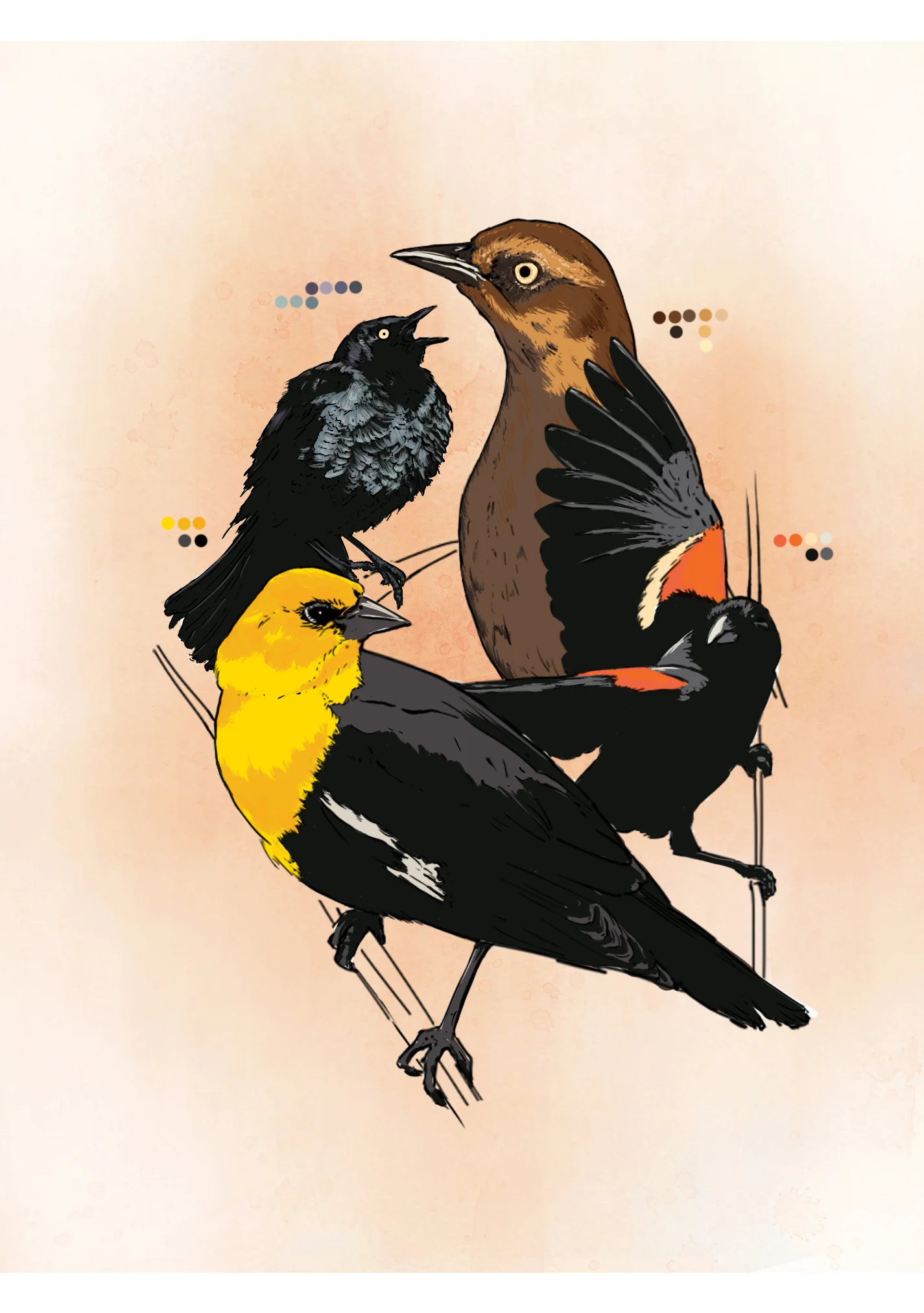 Blackbird (digital)