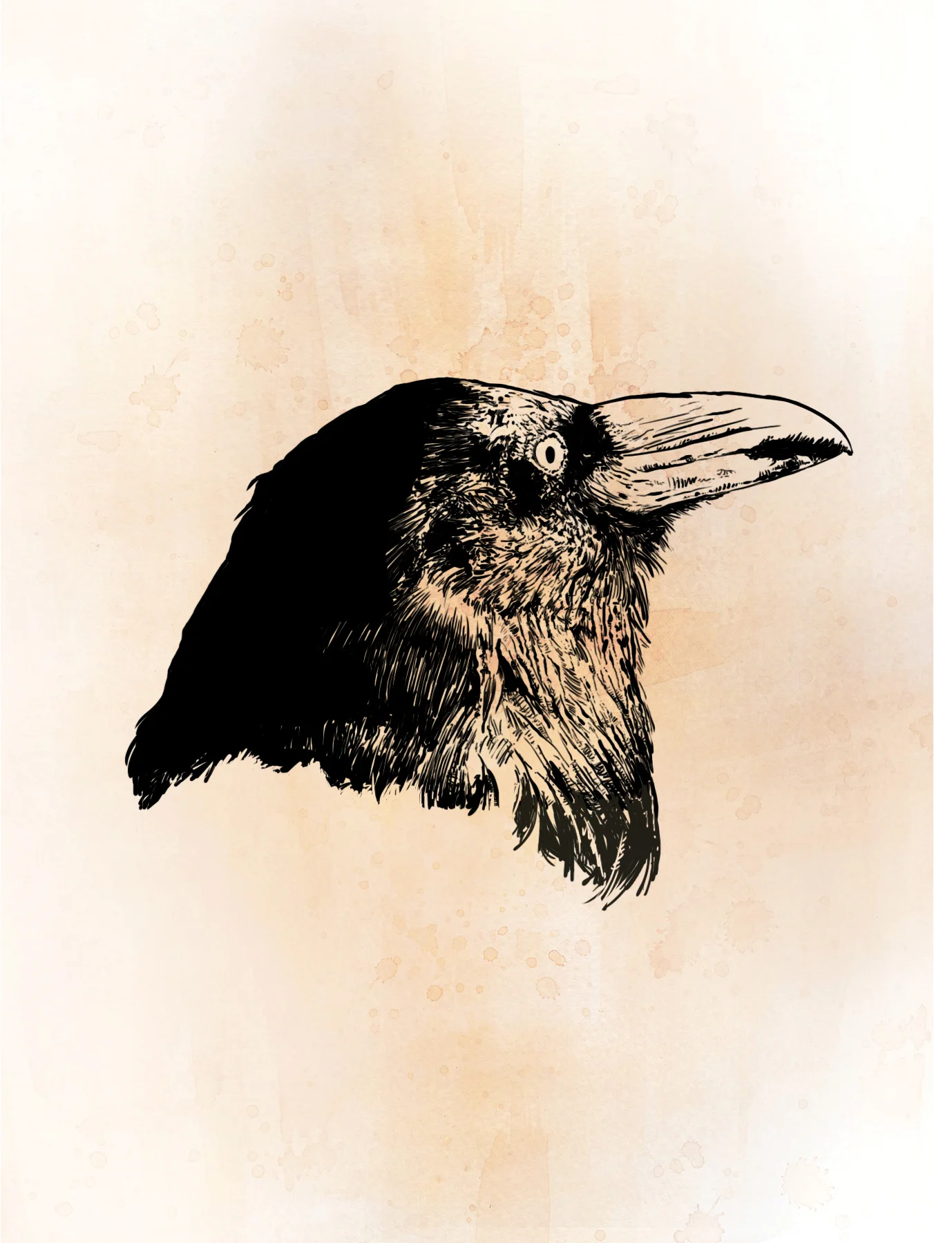 Crow (digital)