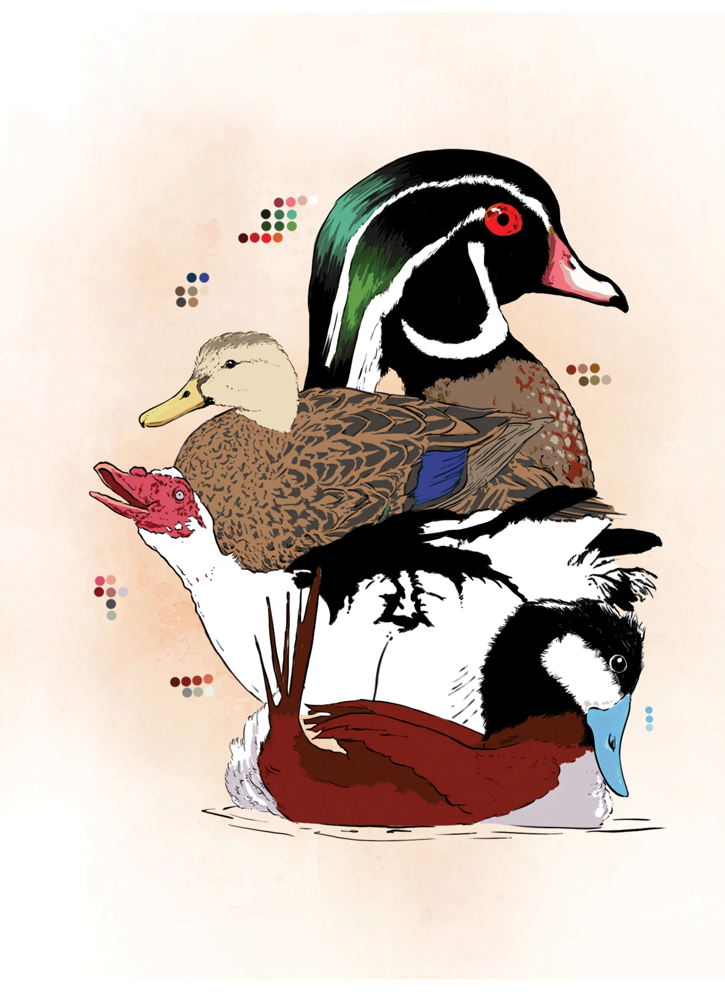 Duck (digital)