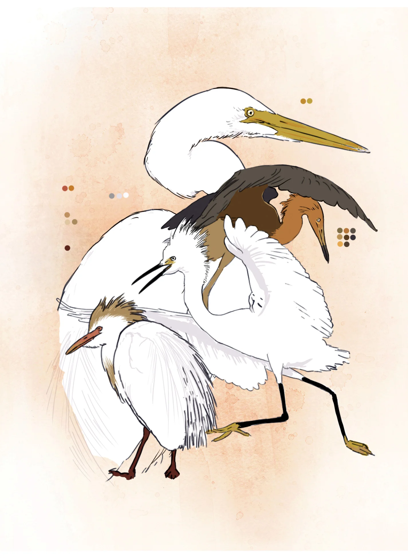 Egret (digital)