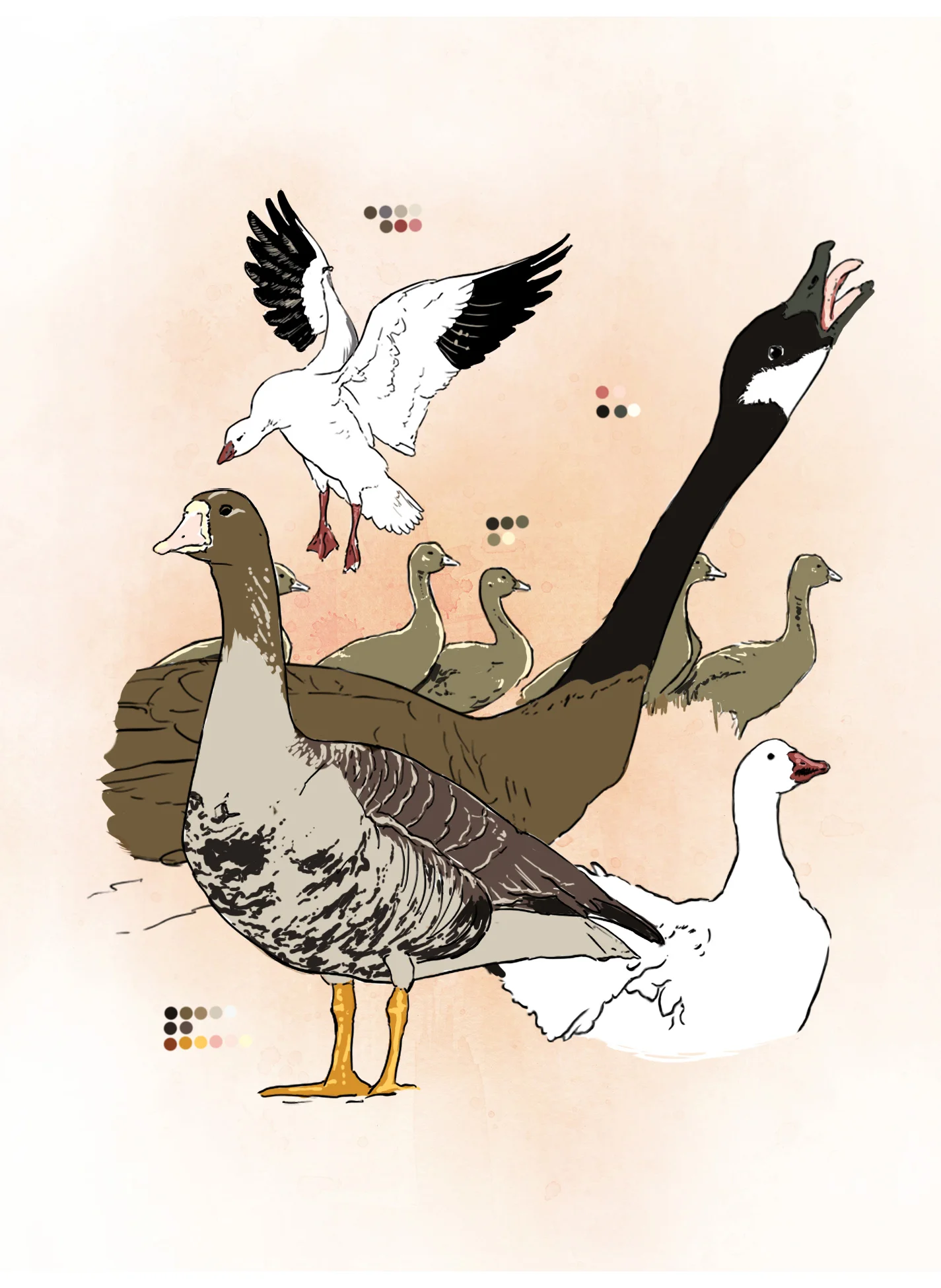 Goose (digital)