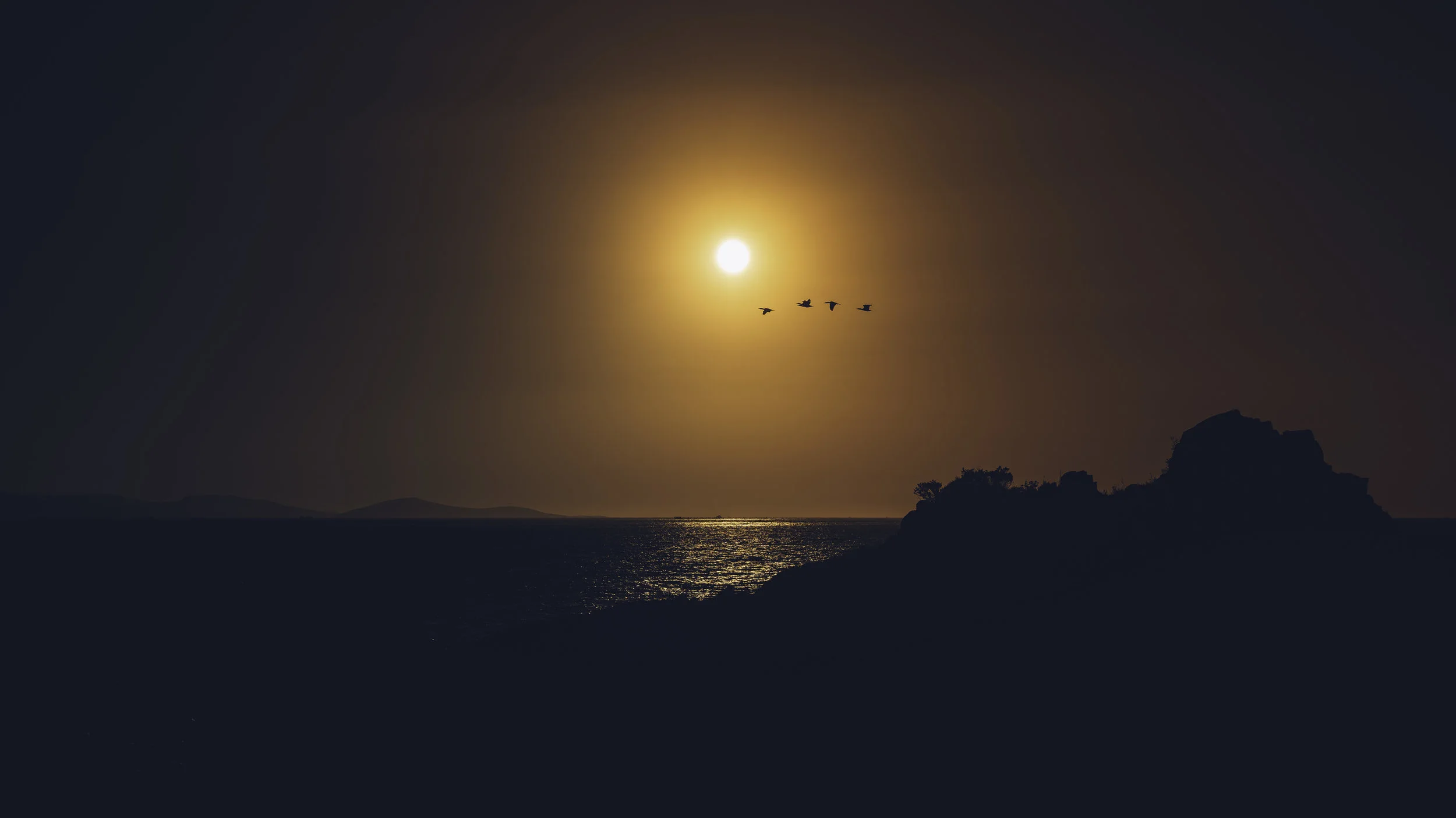 3 birds sunset.jpg