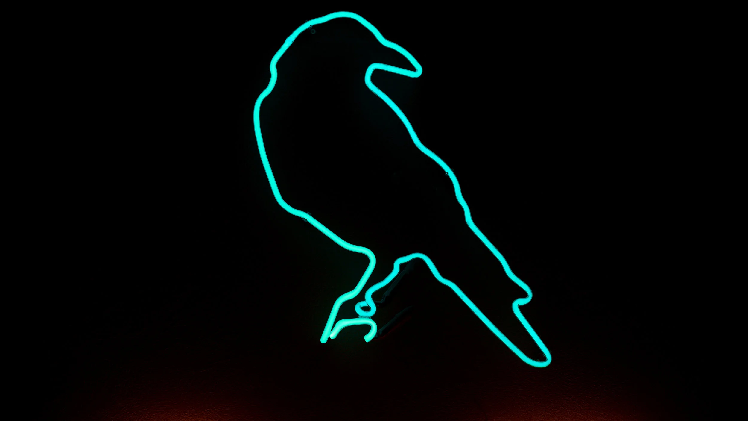 the crow.jpg