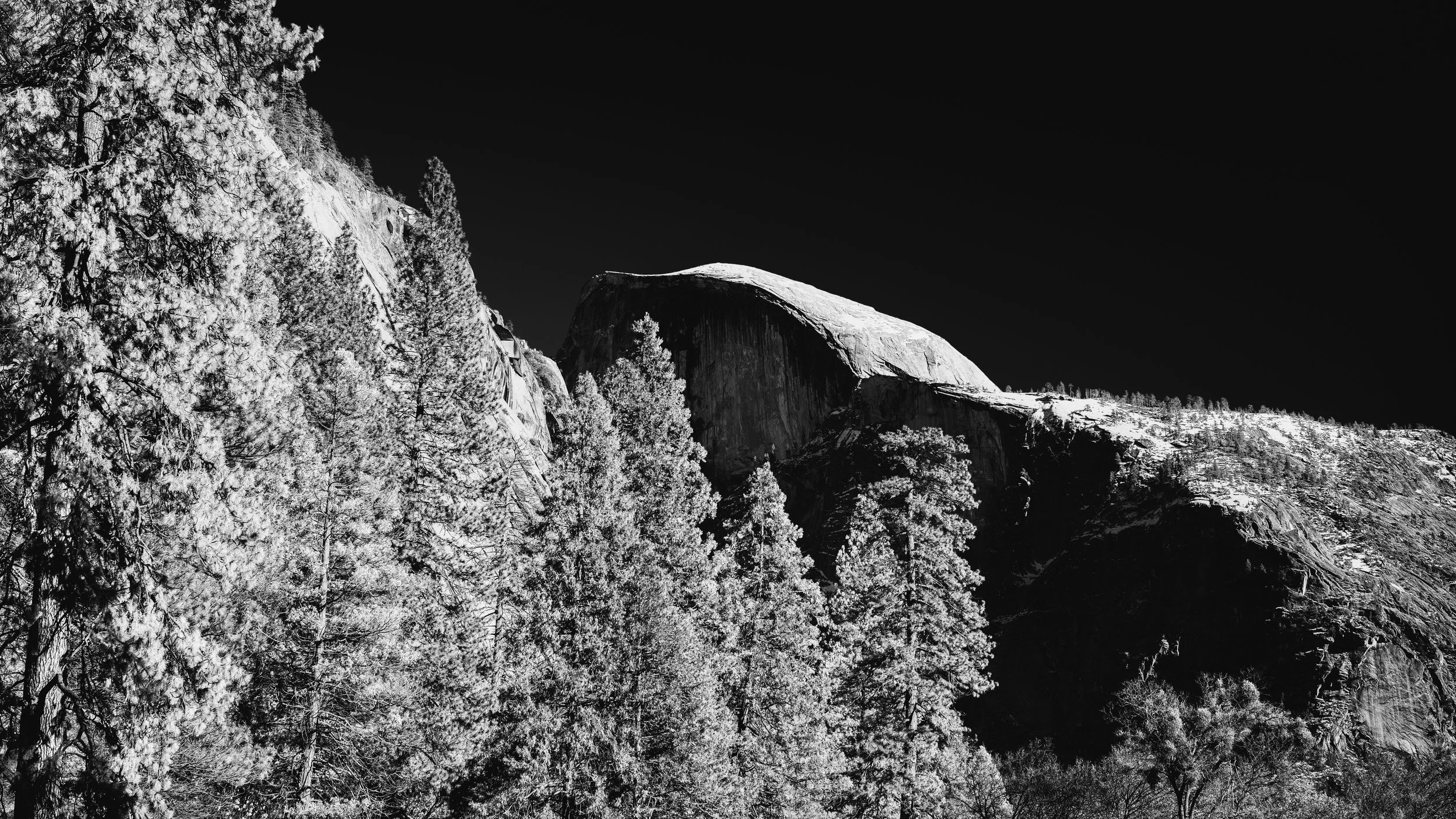 mount peak and trees bnw.jpg