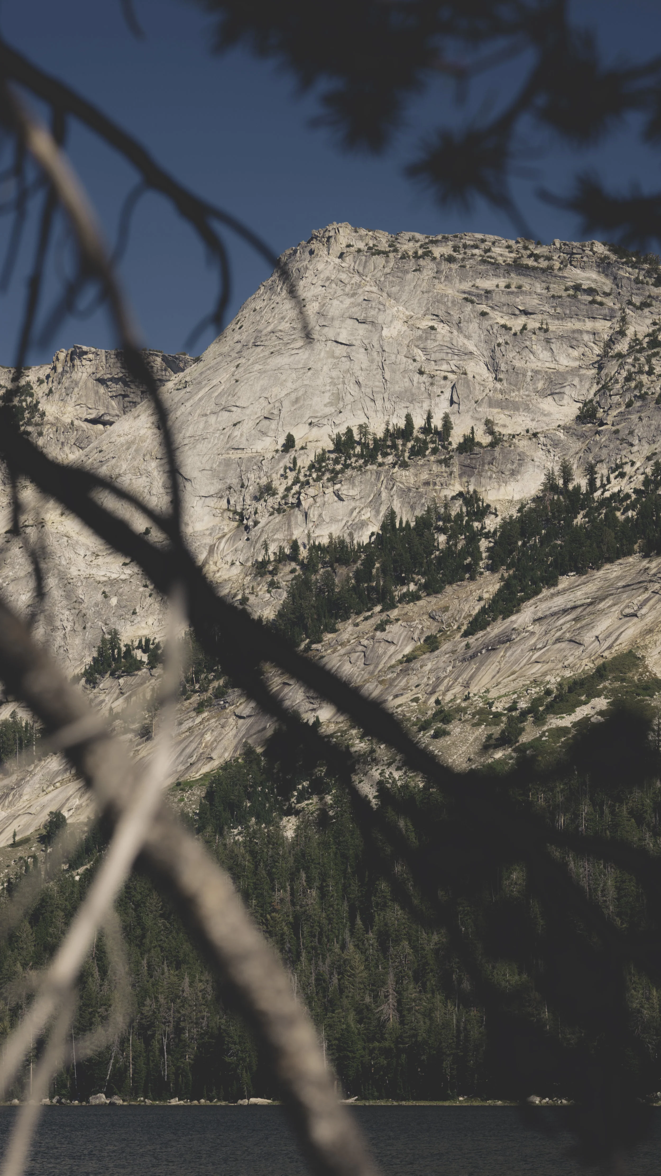 yosemite 1.jpg