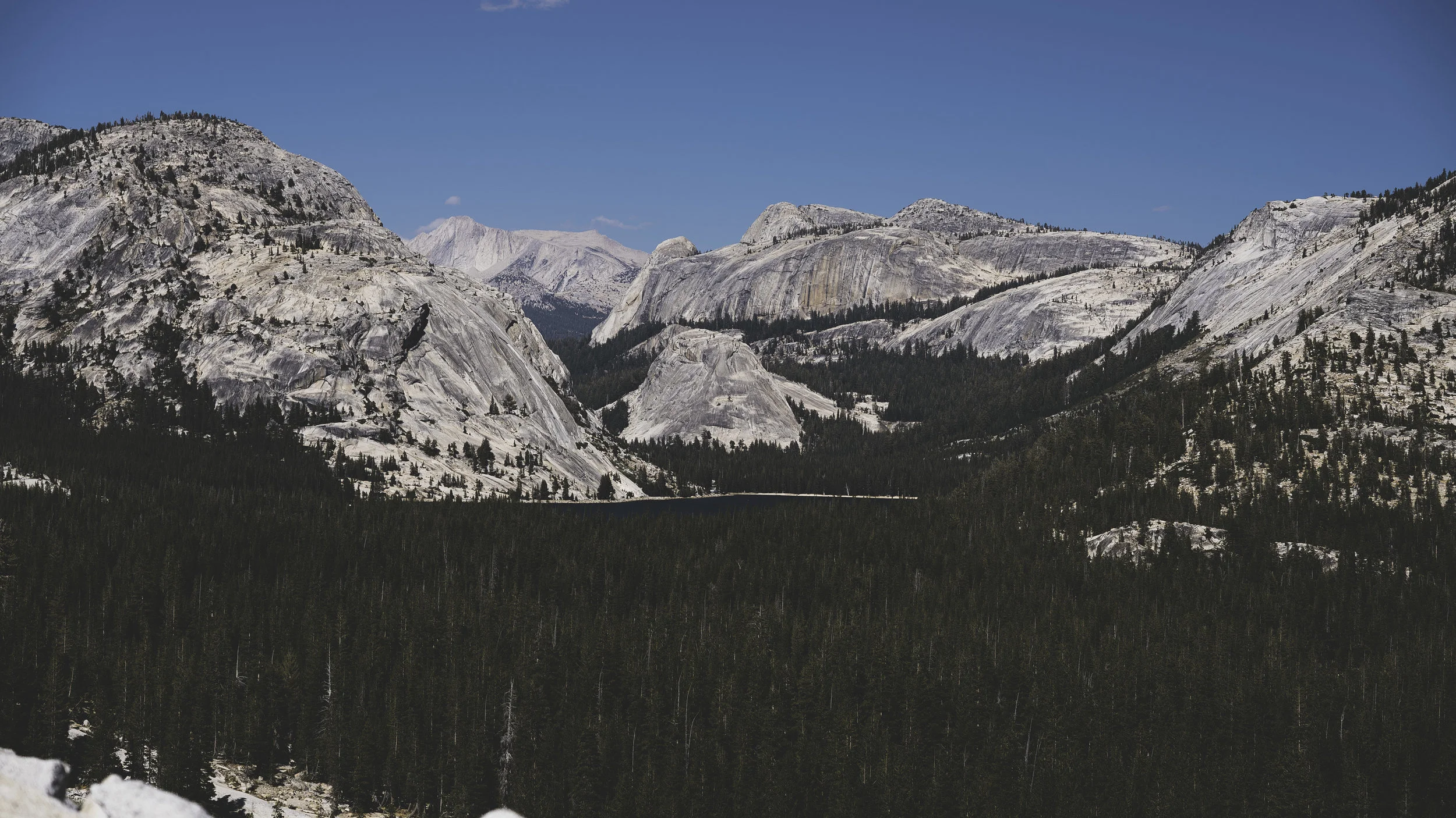 yosemite 2.jpg