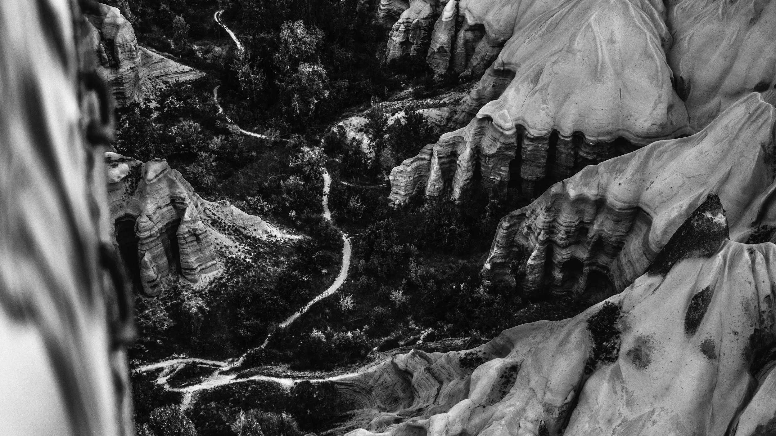 in the mountains-.jpg