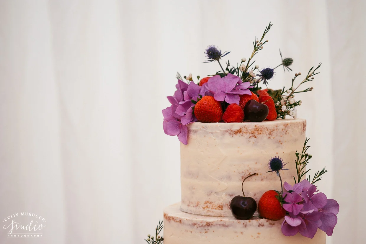 cms-lizzy-matt-aug-12-wedding-cake-lr-3EDITED.jpg