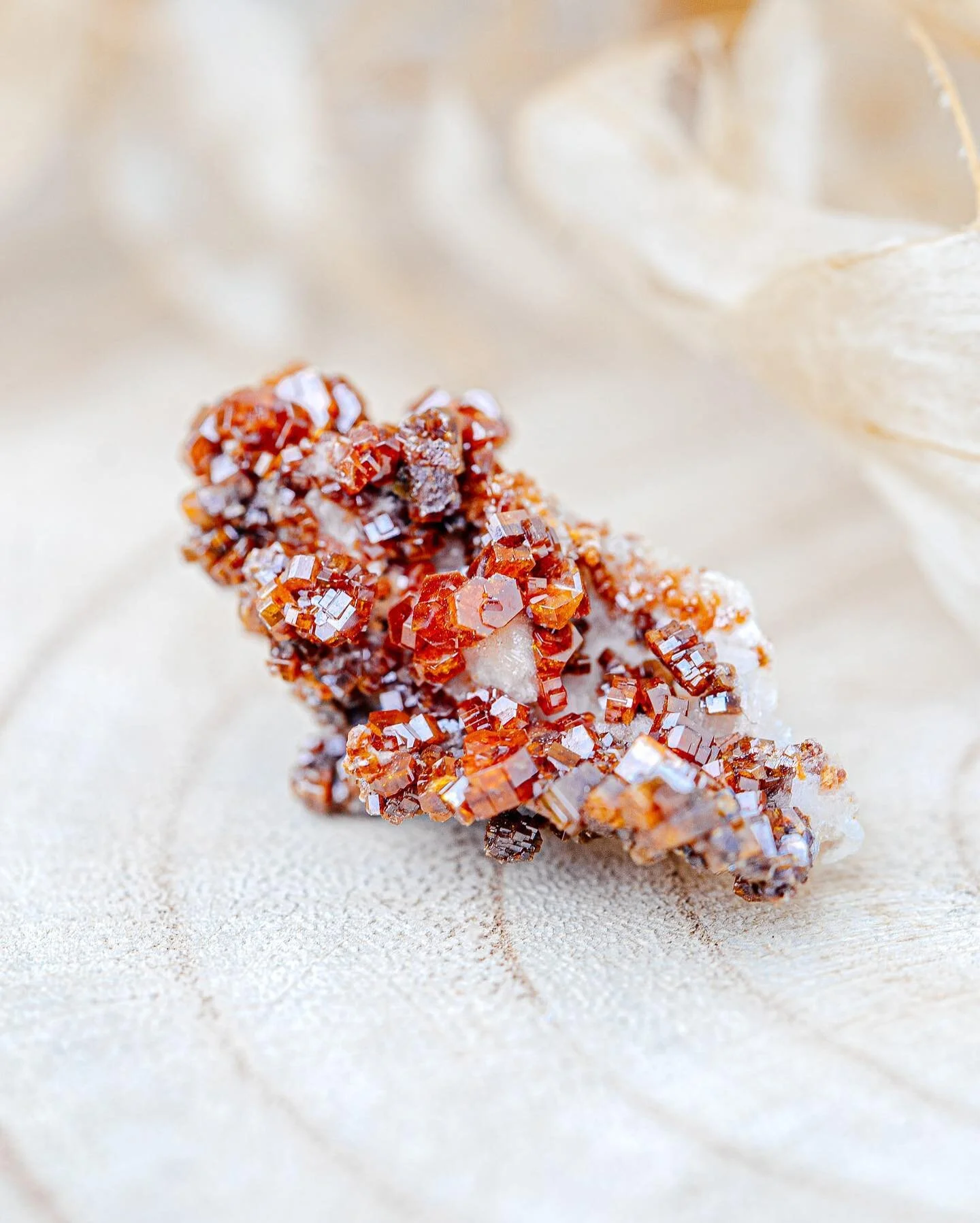 C&rsquo;est dans les hauts-plateaux de l&rsquo;Atlas que j&rsquo;ai fait la connaissance de cette p&eacute;pite. On l&rsquo;appelle la Vanadinite de par sa composition chimique. 

Je suis toujours impressionn&eacute;e par la beaut&eacute; de la natur