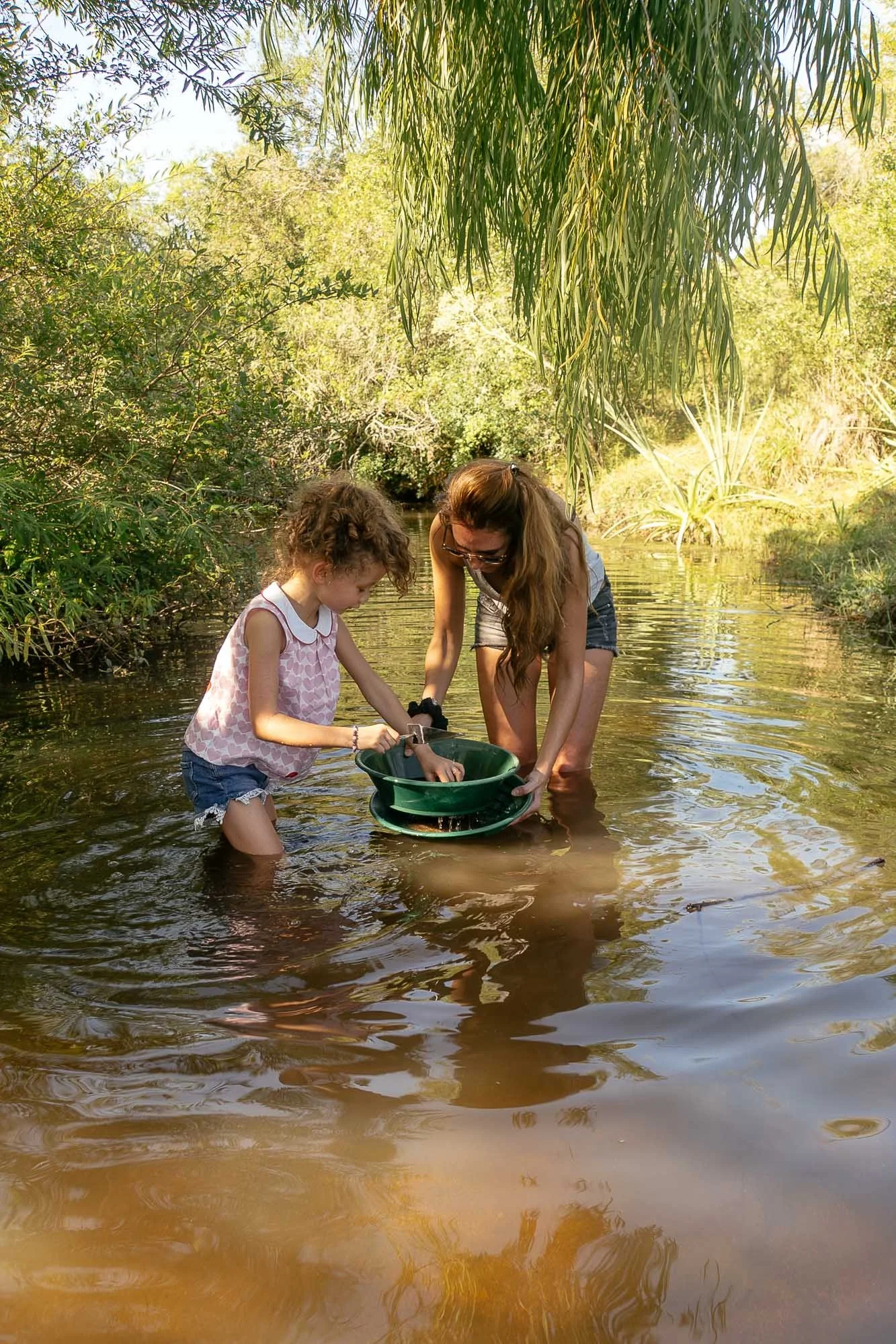 Les Pépites d'Artigas