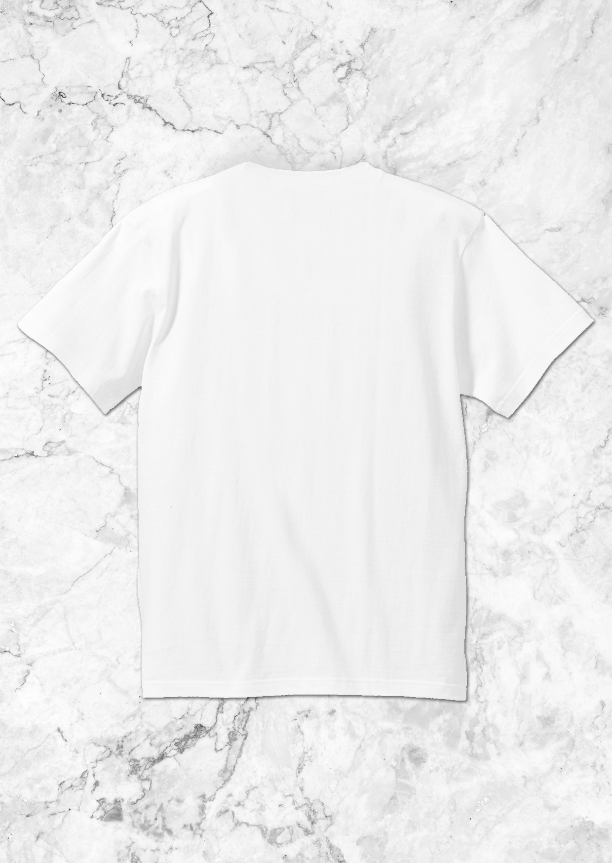LOGO WEB WHITE BACK.png