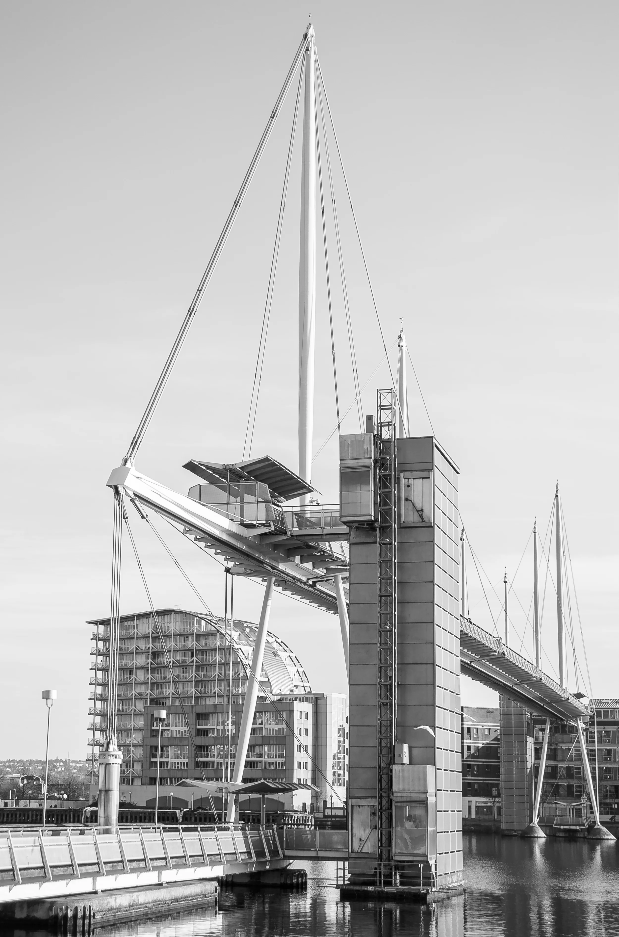 20130305-DSC02847.jpg