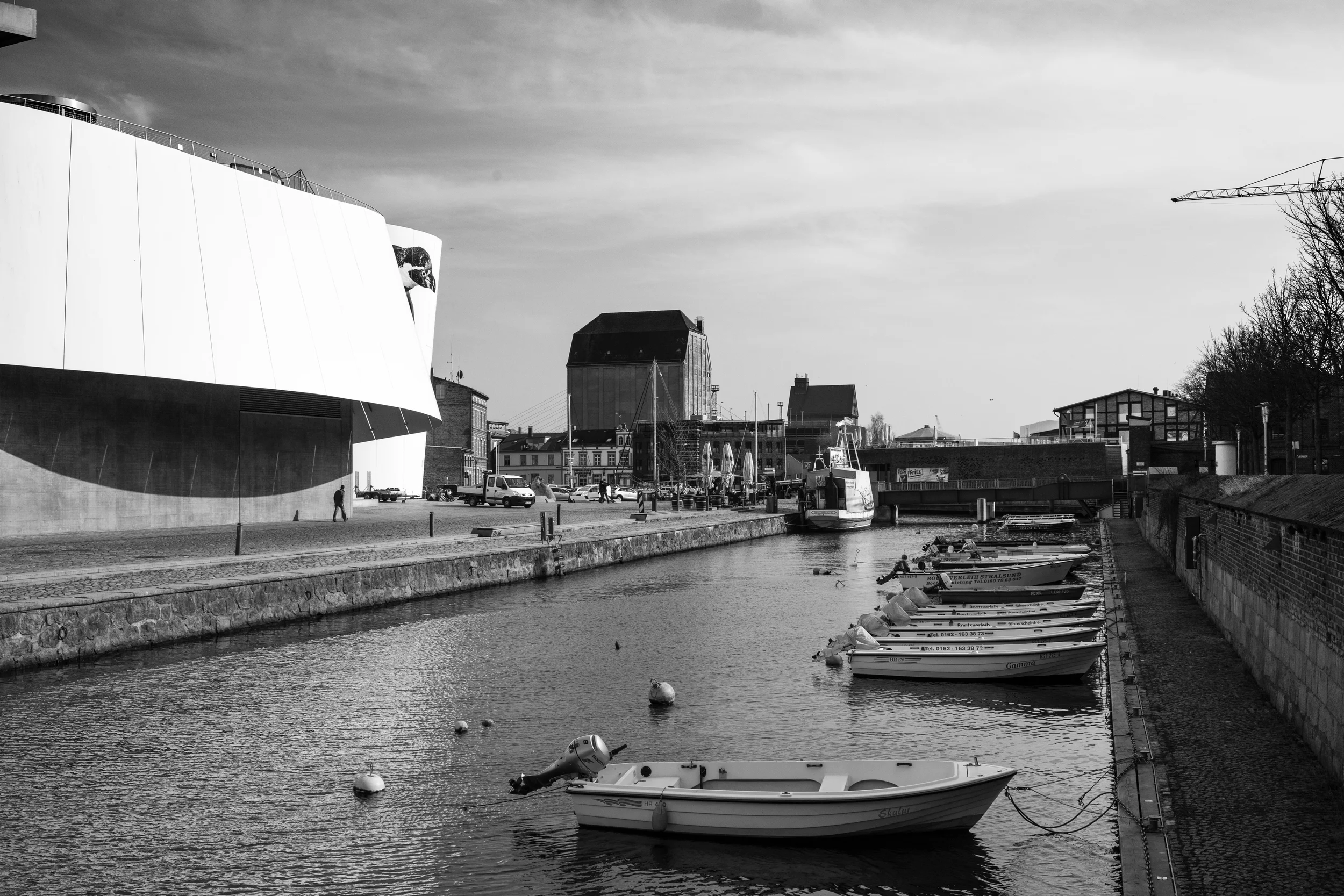 20150317-_DSC6680.jpg