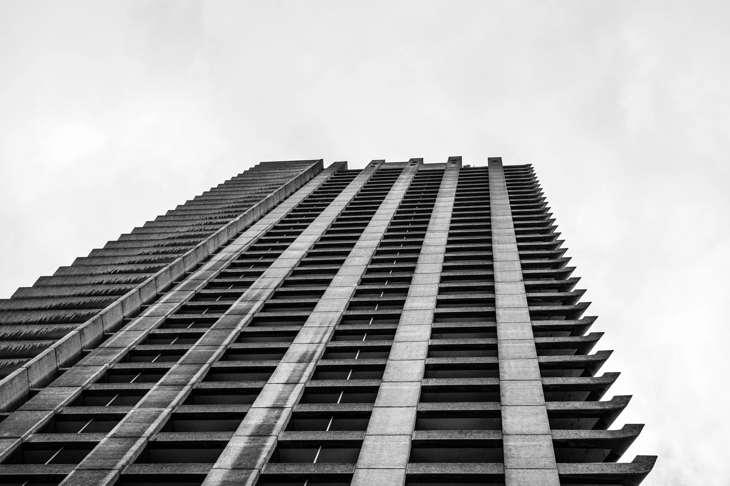 20141011-_DSC5136.jpg
