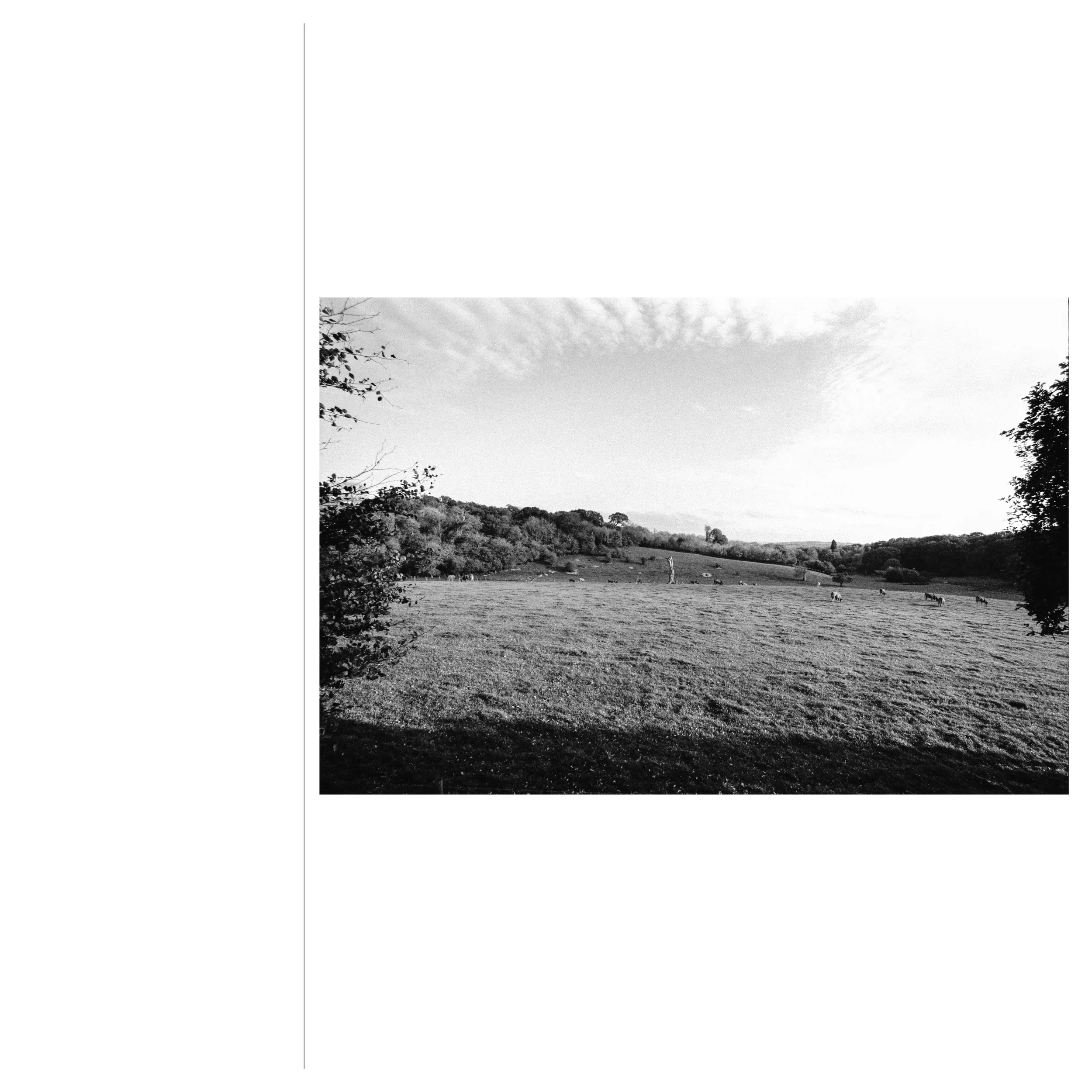 Reasearch By Design ARC 650 Samuel Stephens-84.jpg