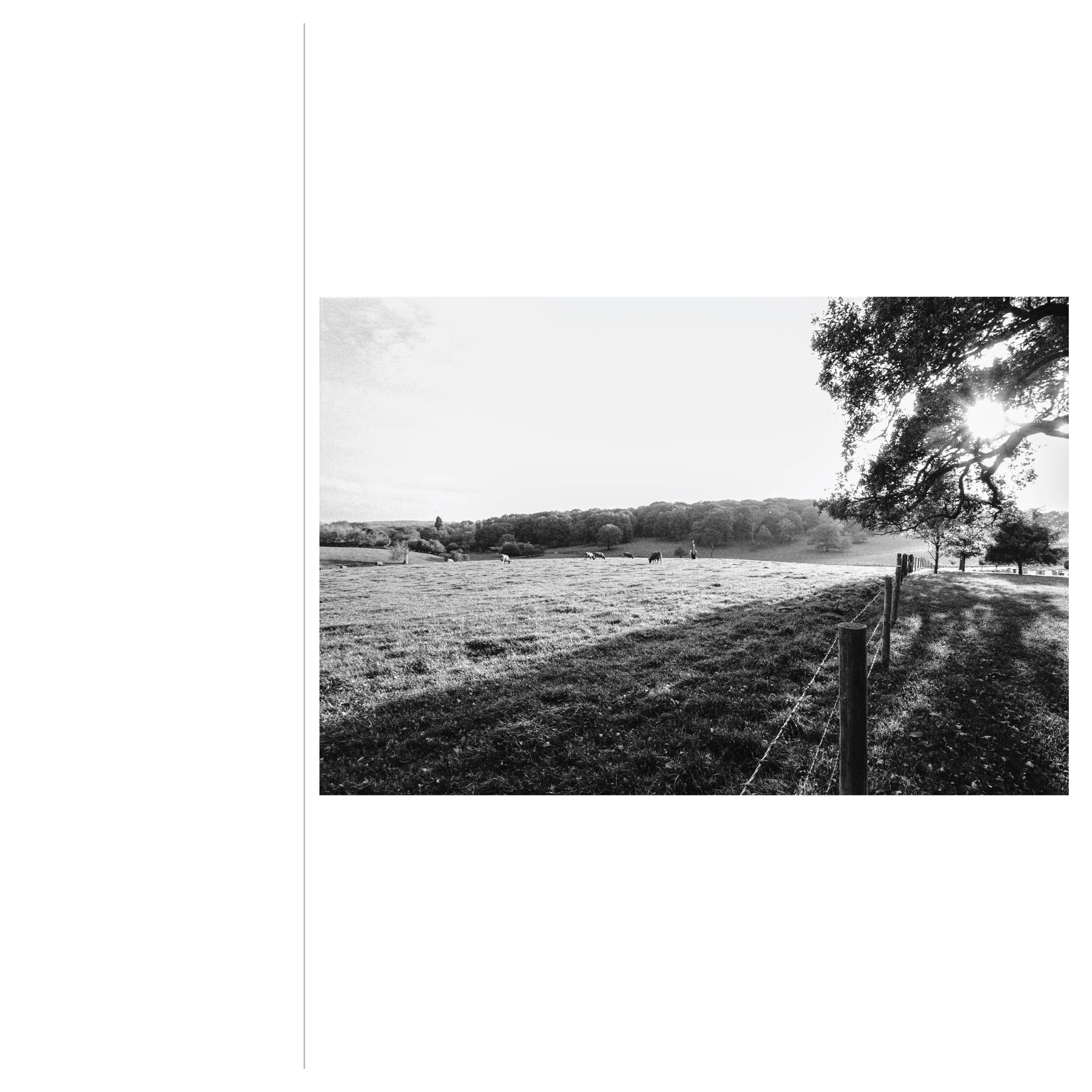 Reasearch By Design ARC 650 Samuel Stephens-85.jpg