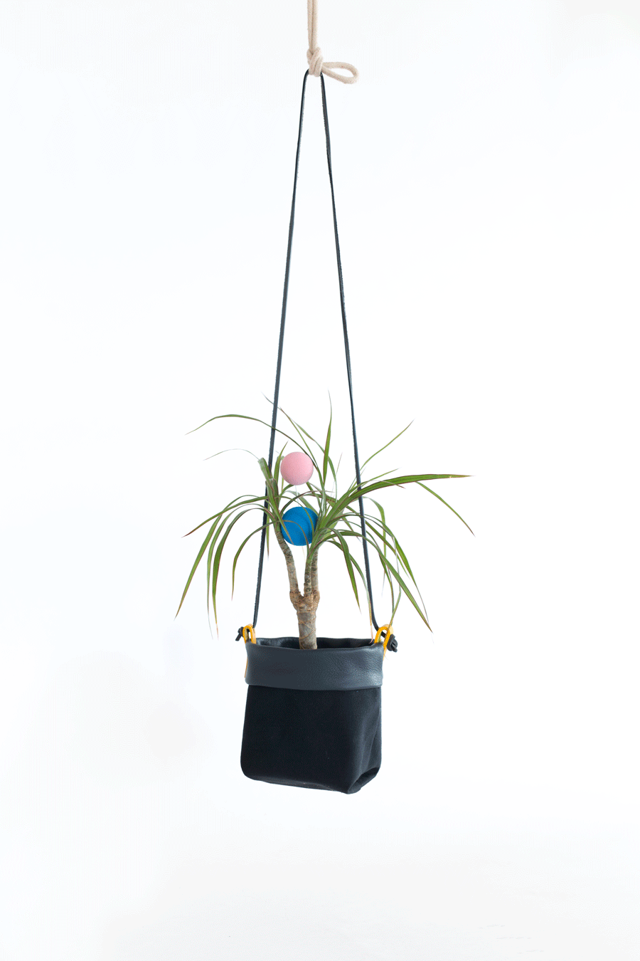 planter-balls-ani-w900.gif
