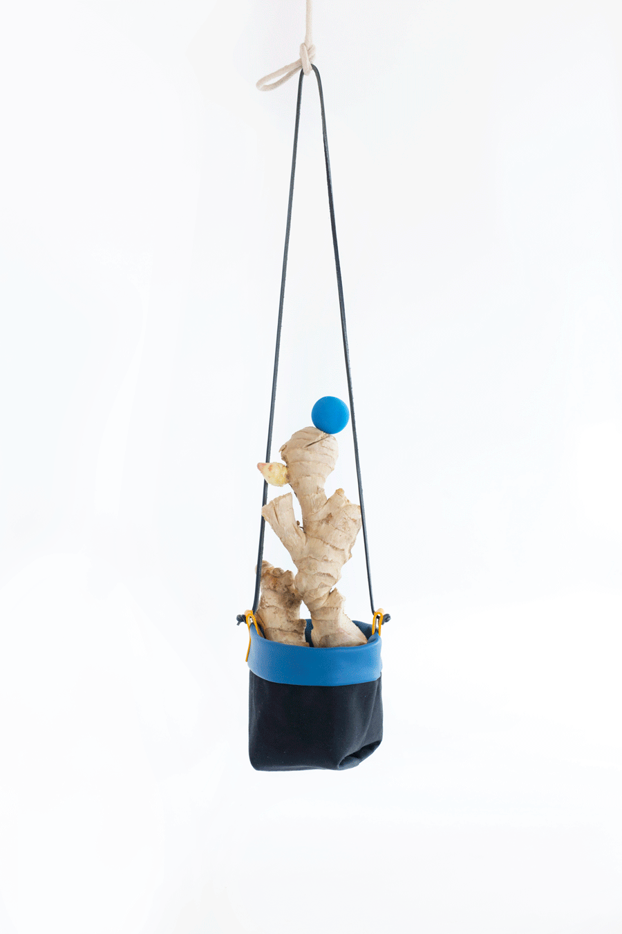 planter-ginger-ani-w900.gif