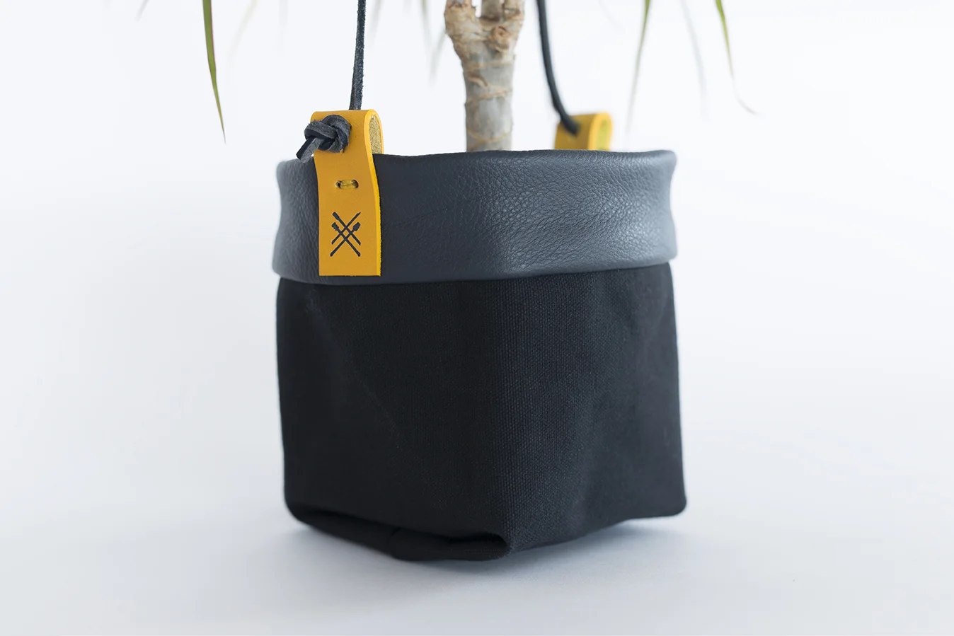 StudioCandiceLau-planters12.jpg