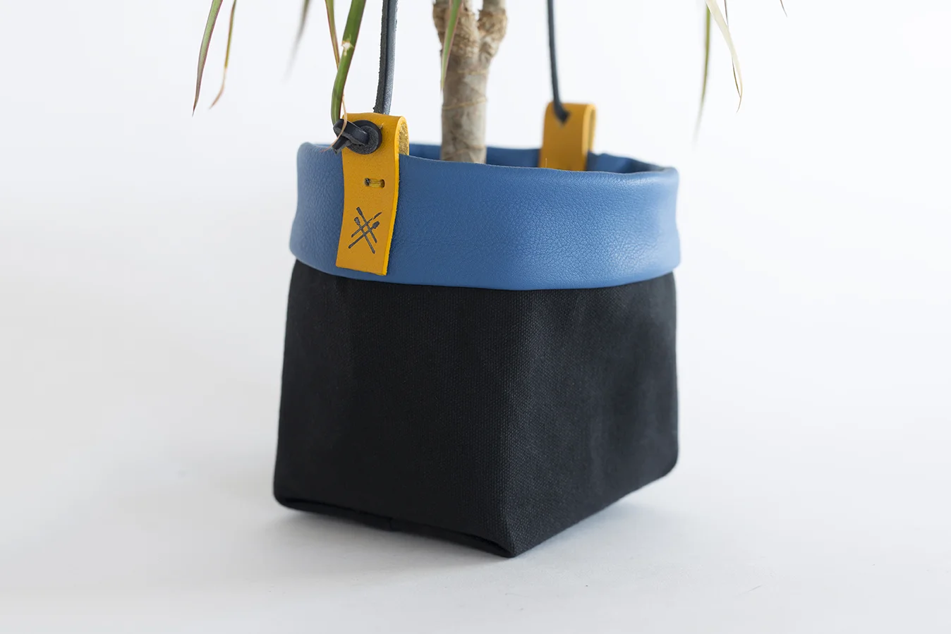 StudioCandiceLau-planters14.jpg