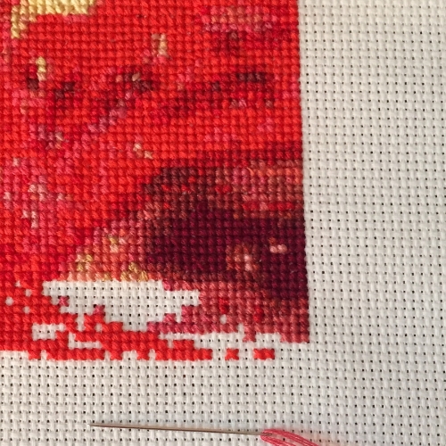 My moody left eye in stitch.