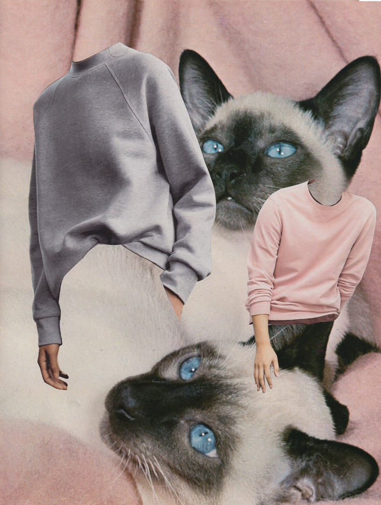 Cat-Sweaters.jpg