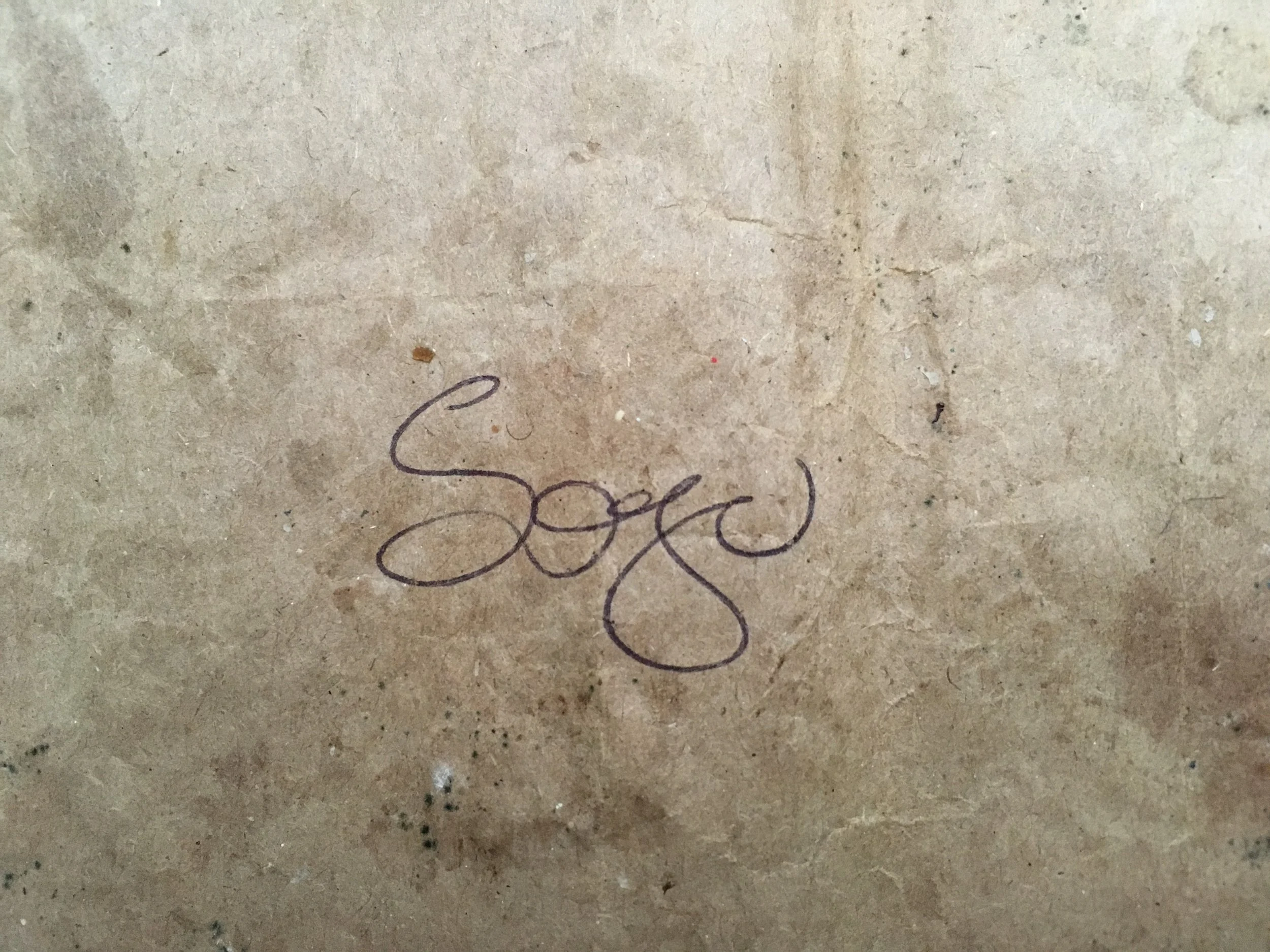 Living Room Concert with Sojusmusic