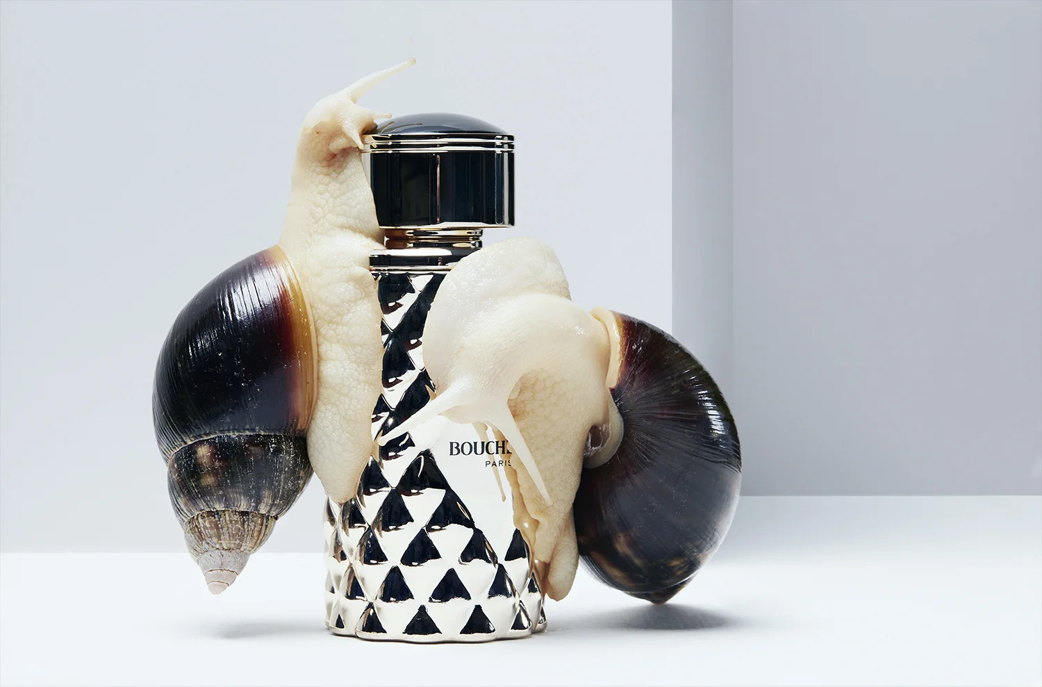still_life-cosmetics-snails-flagrance-perfume-recto_verso_magazine-by-oskar-01.jpg
