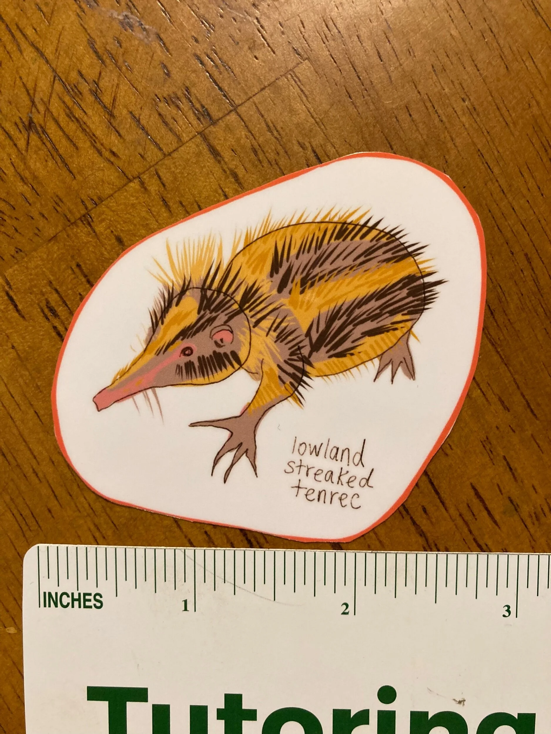 FB23C0DA-F42A-465C-B417-0C0236B58A02