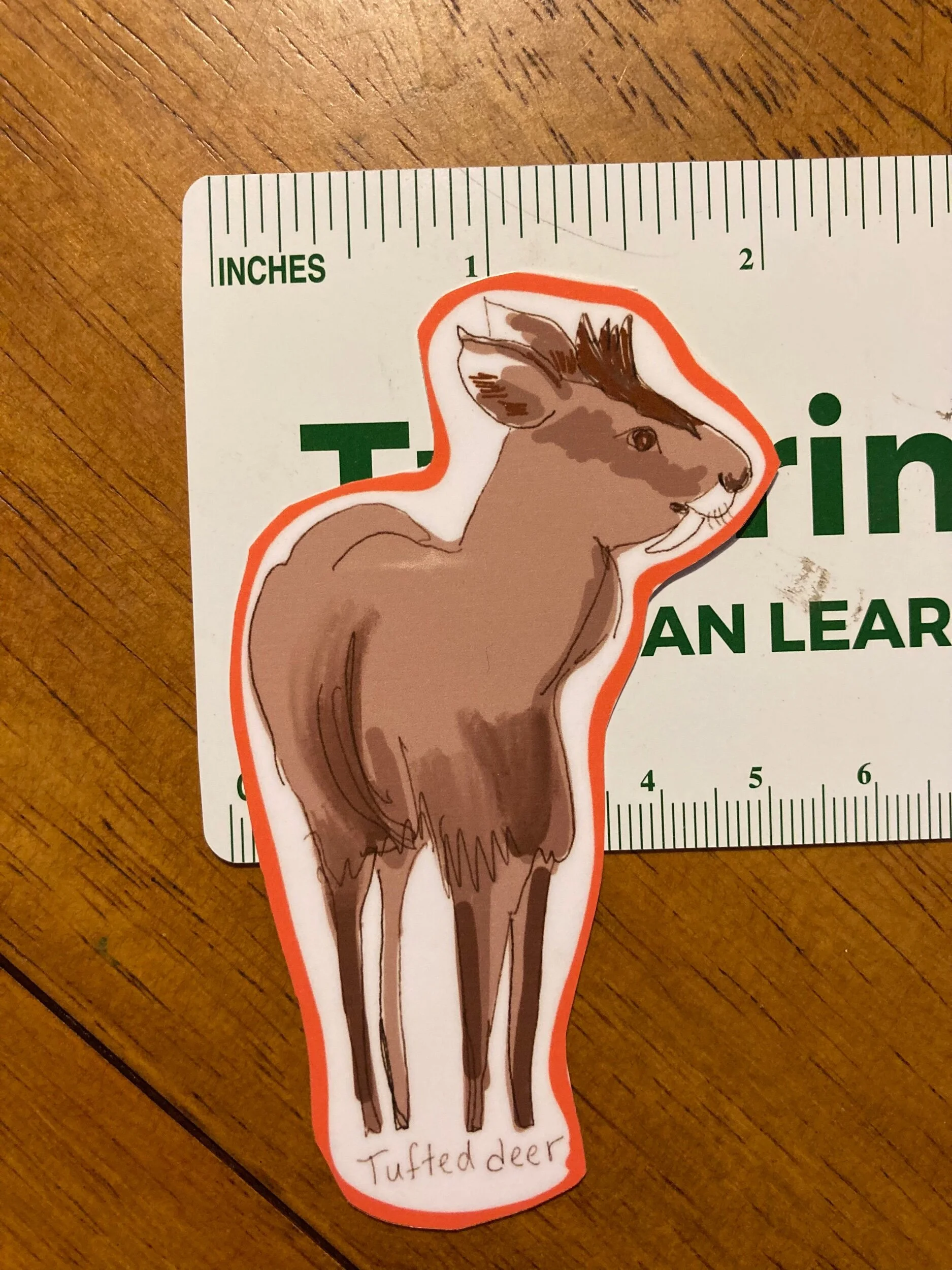 A454C866-71C8-49CE-953C-999446570C66