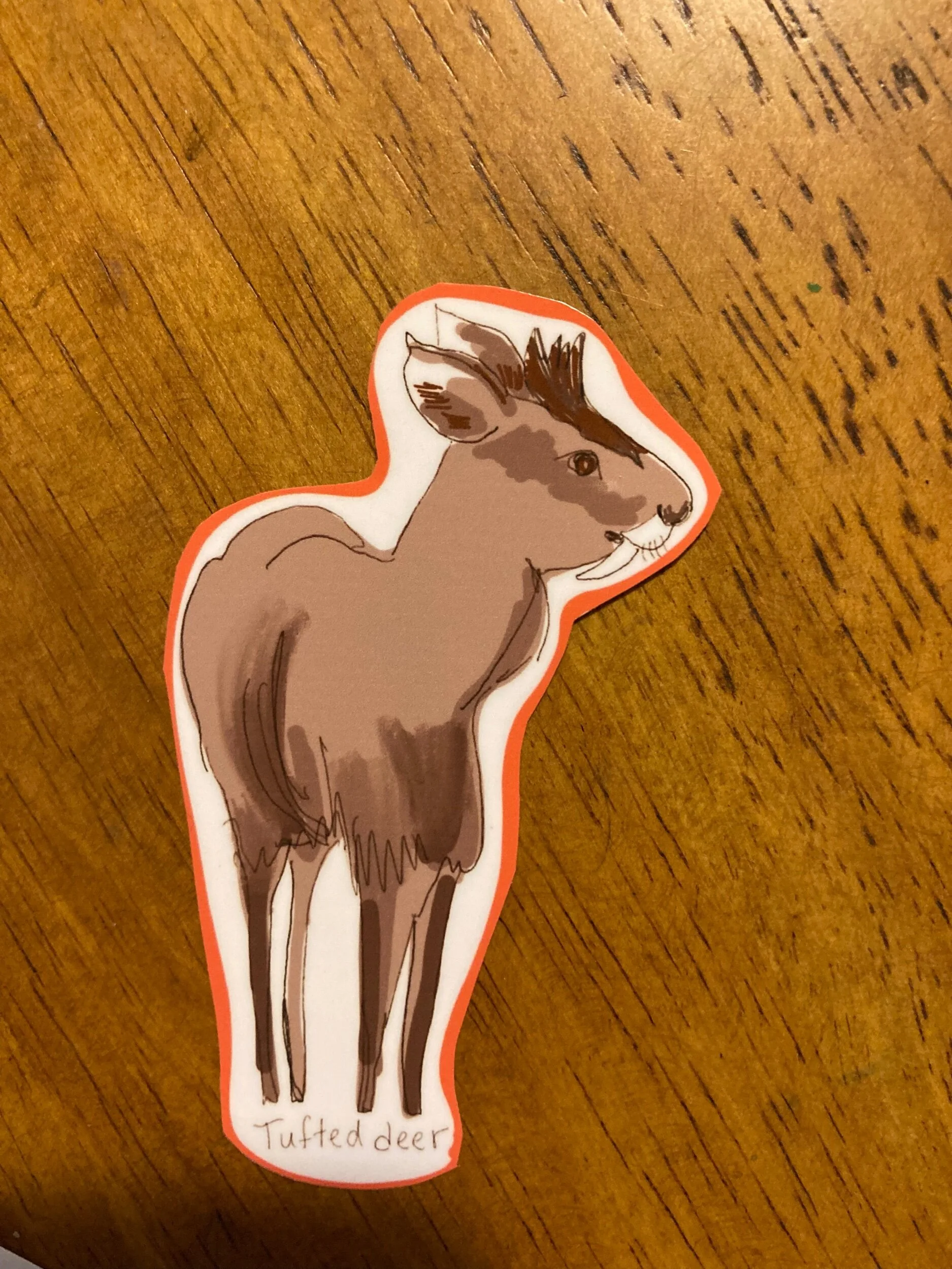 93CE80B5-548D-411C-BBE0-75A93D73C0AF