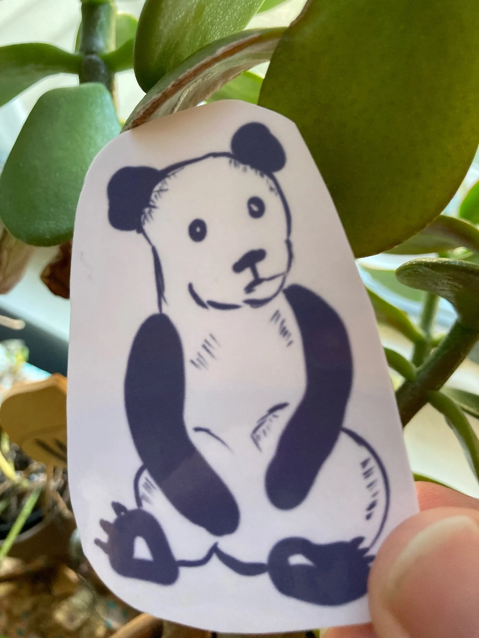 813835D0-E543-43E5-BC9A-059C849DAEF0