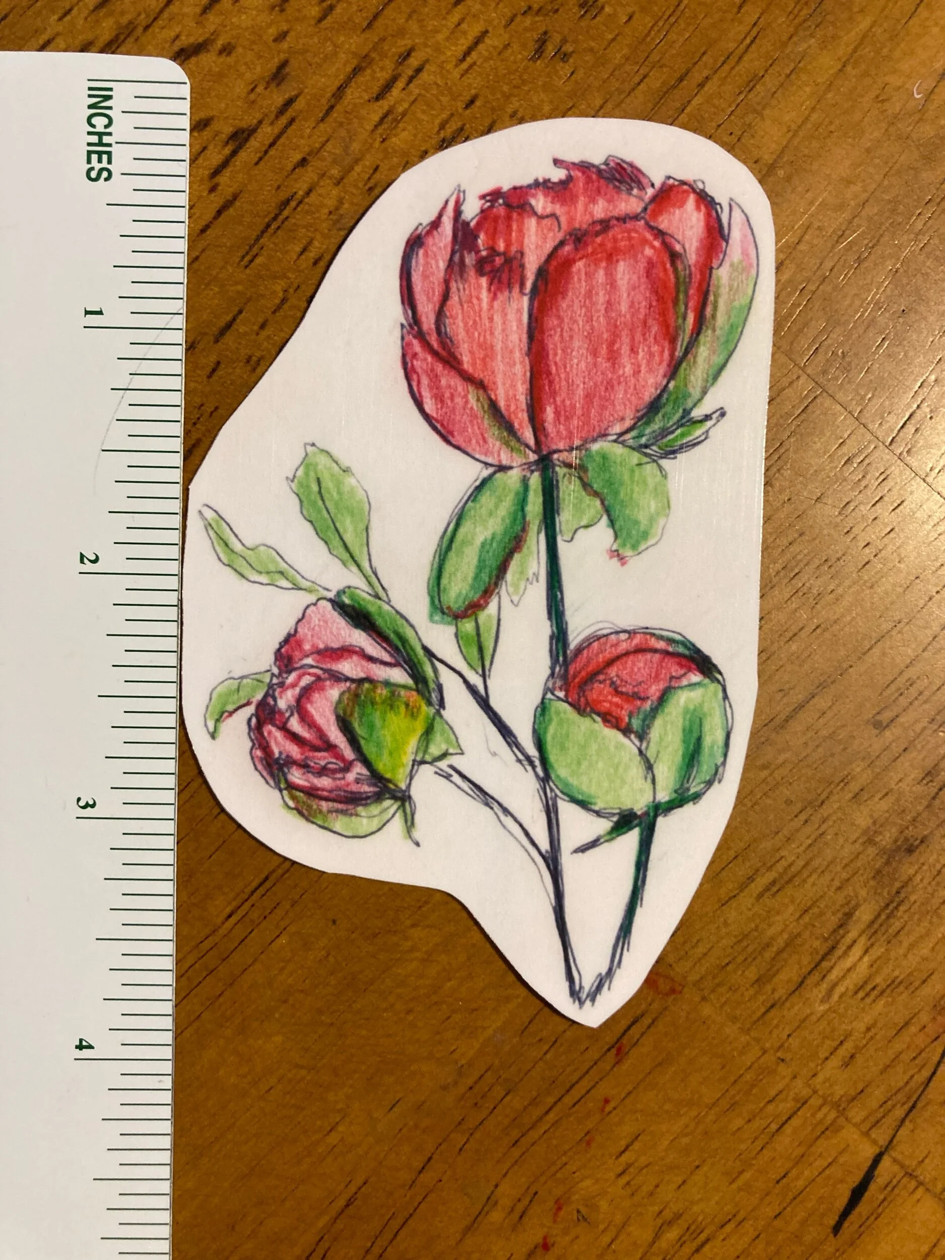 5EE3DBC6-E245-4D0B-AC5E-66997A946859