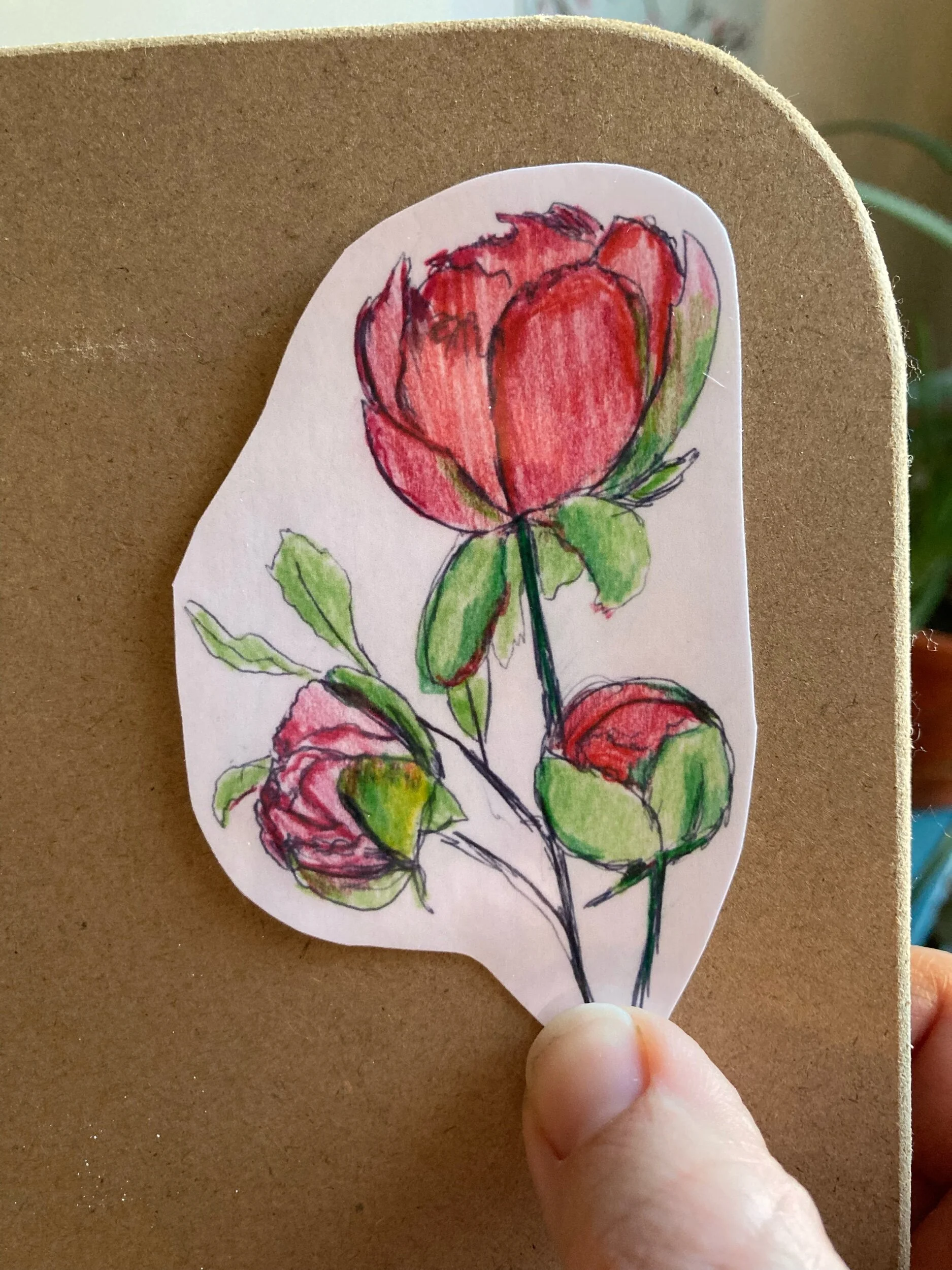 26EBC2E8-E16F-4D8A-A45A-8A737BA65E8C