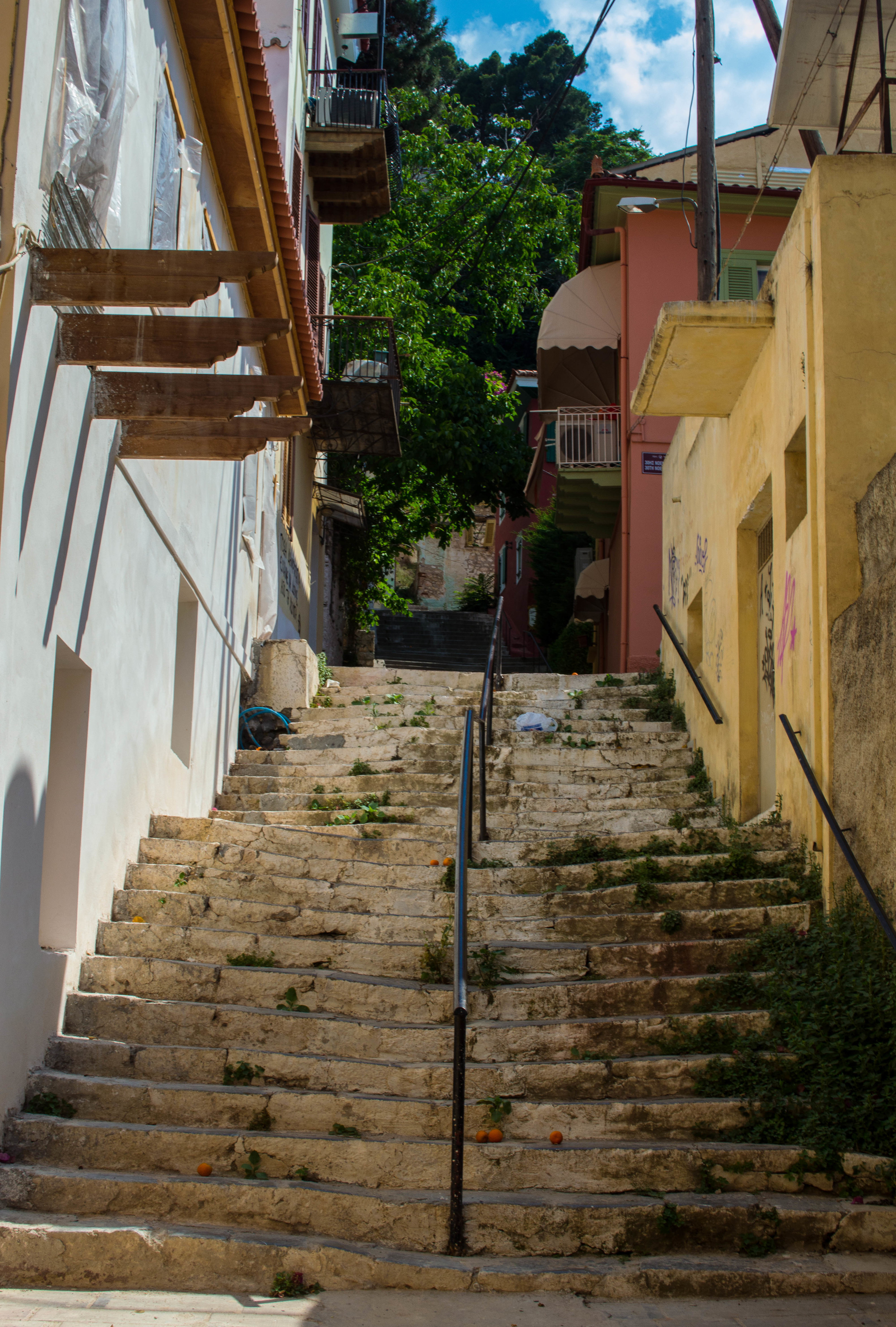 DSC_0109-1.jpg