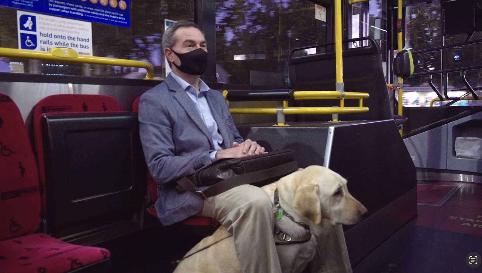 Big Build: Guide Dogs