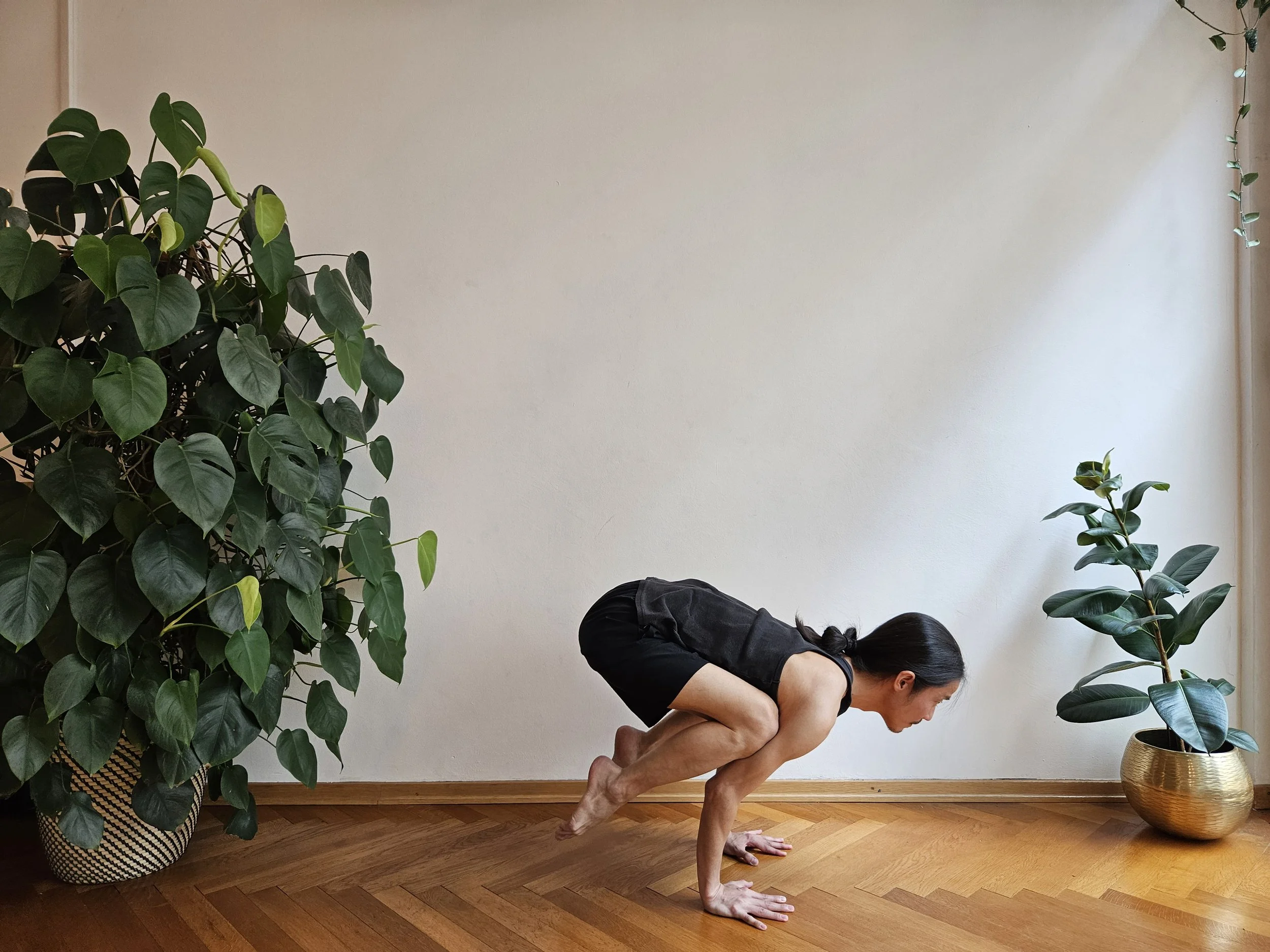 Atelier Bakasana