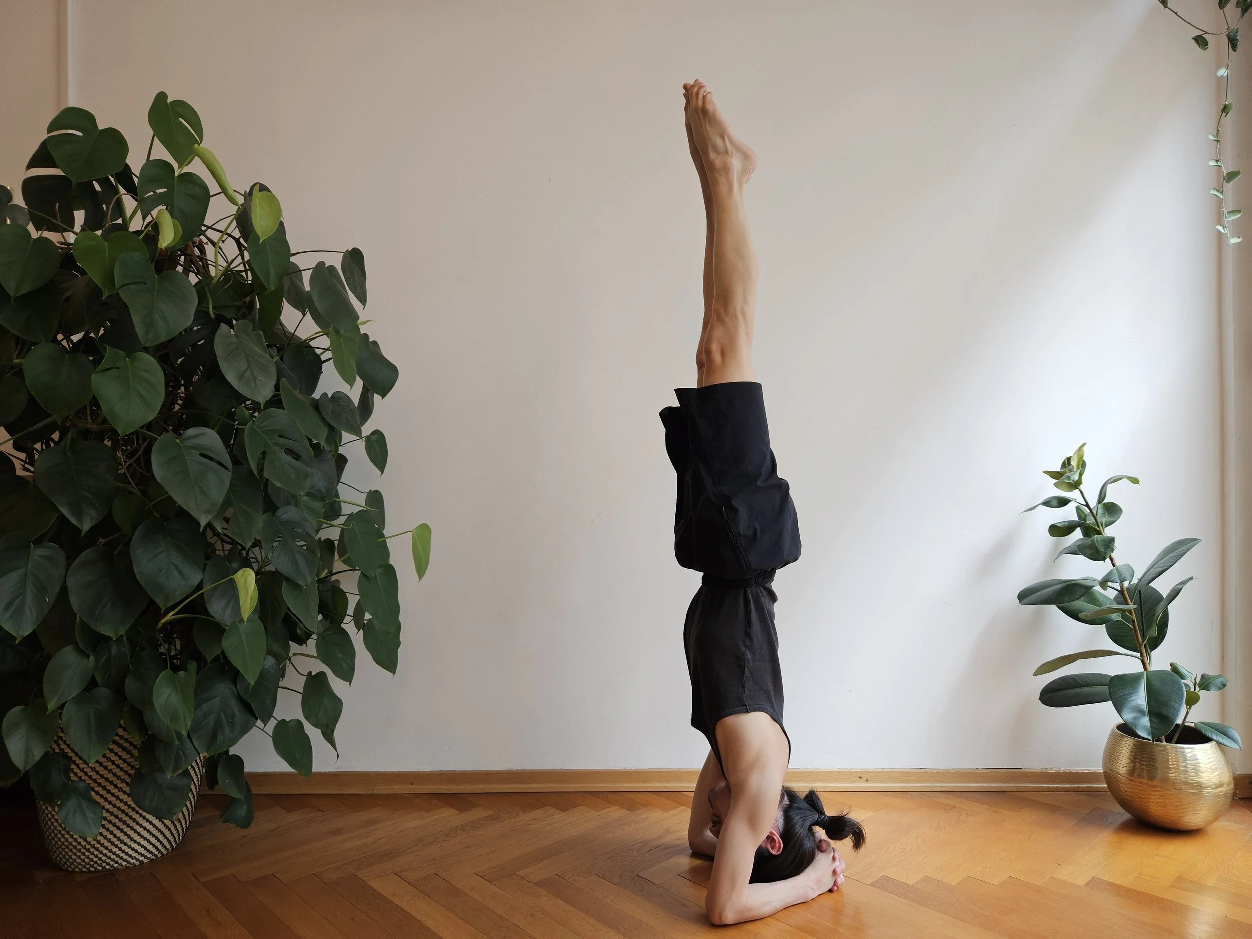 Atelier Sirsasana