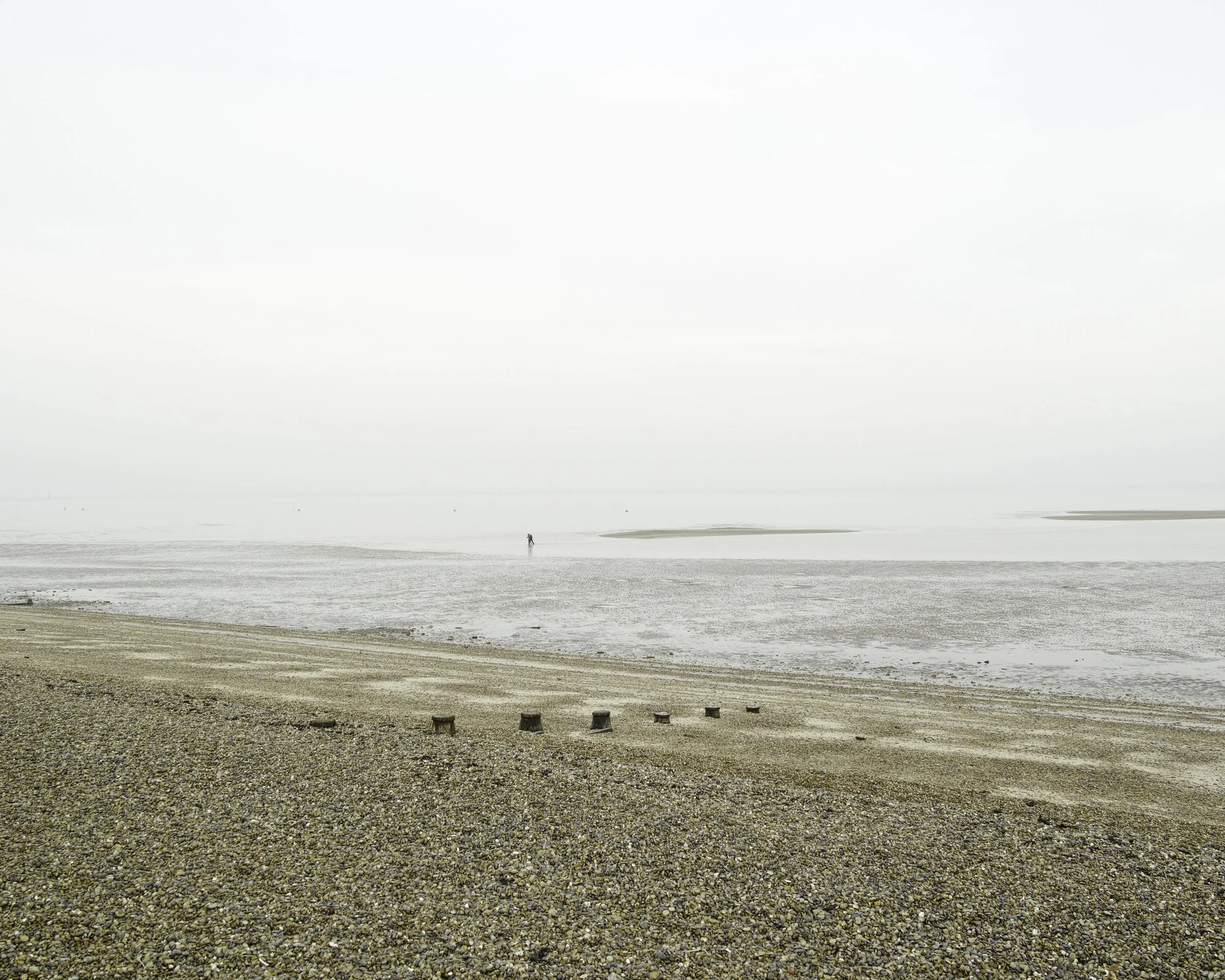 _P1M0313.jpg