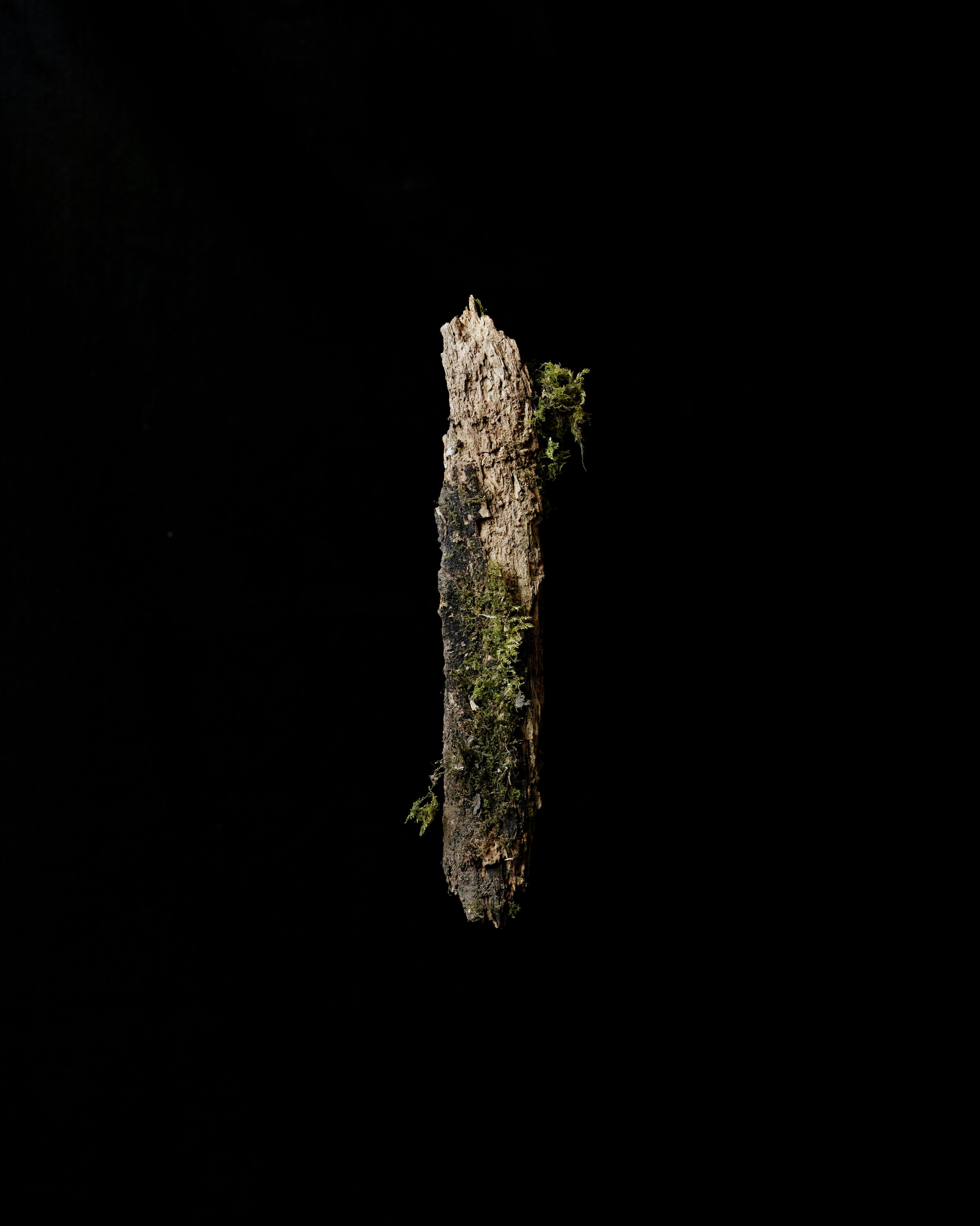 _SDI5454.jpg