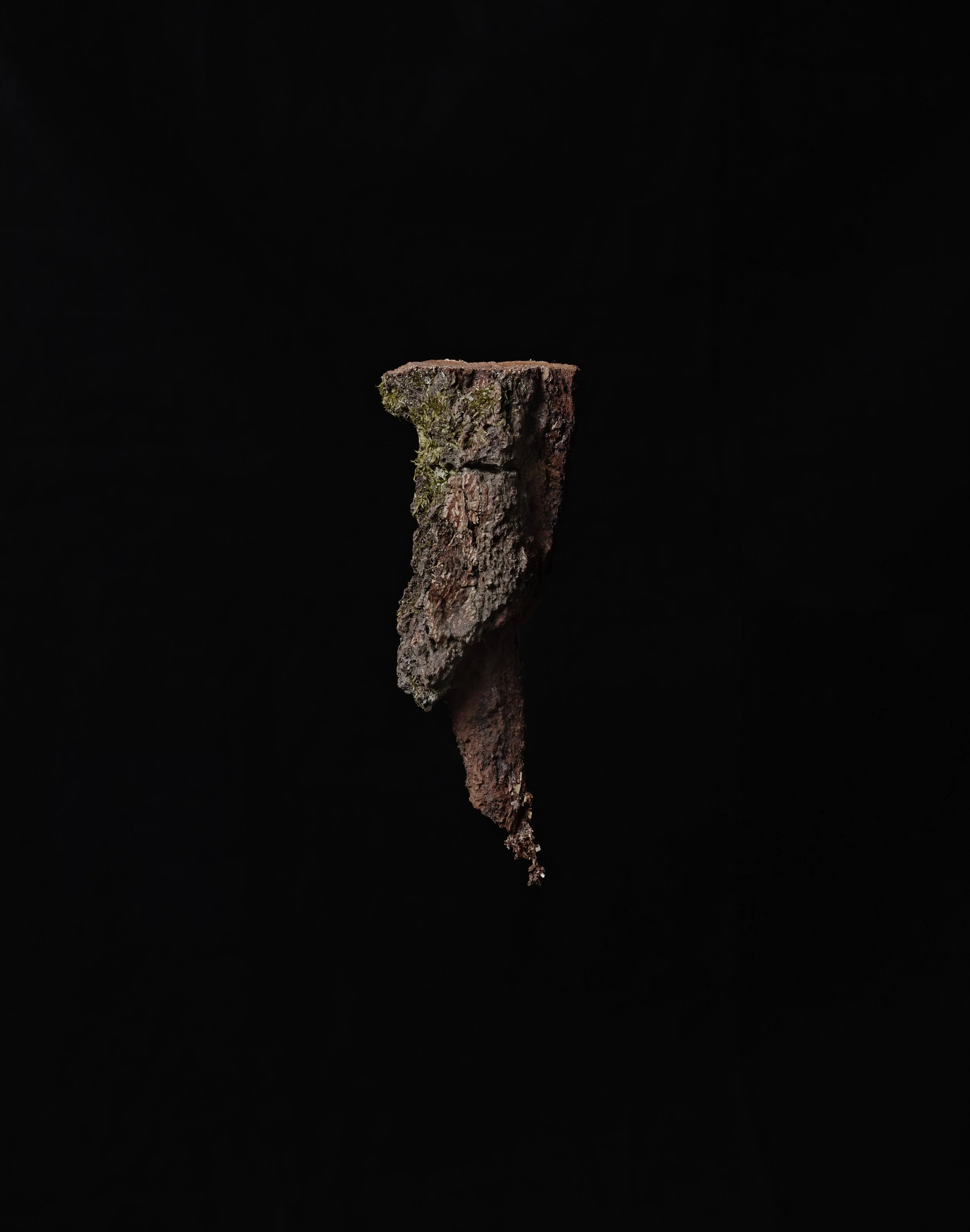 _SDI5816.jpg