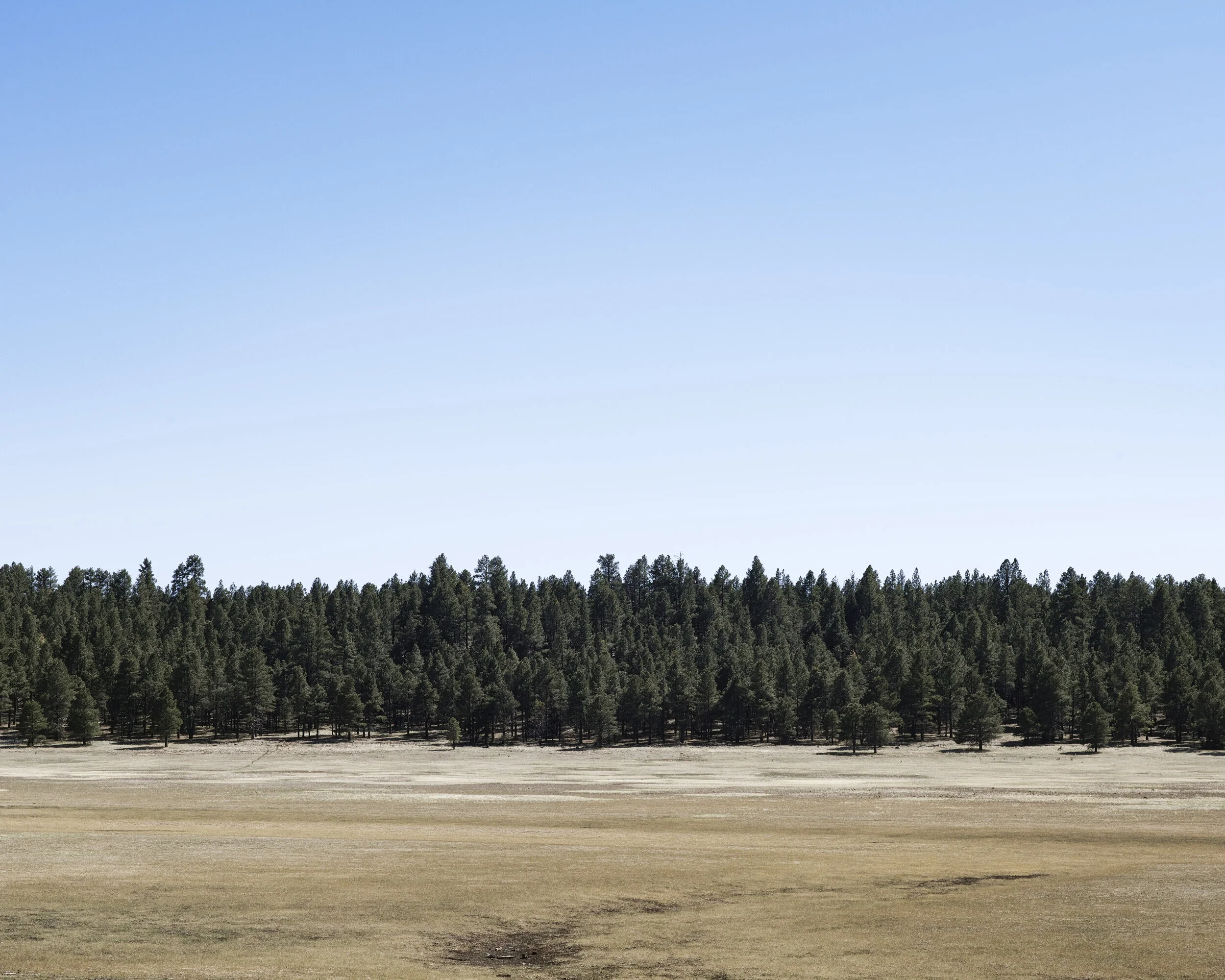  Forrest - US  16x20 fuji Matt print - white border  £200.00 